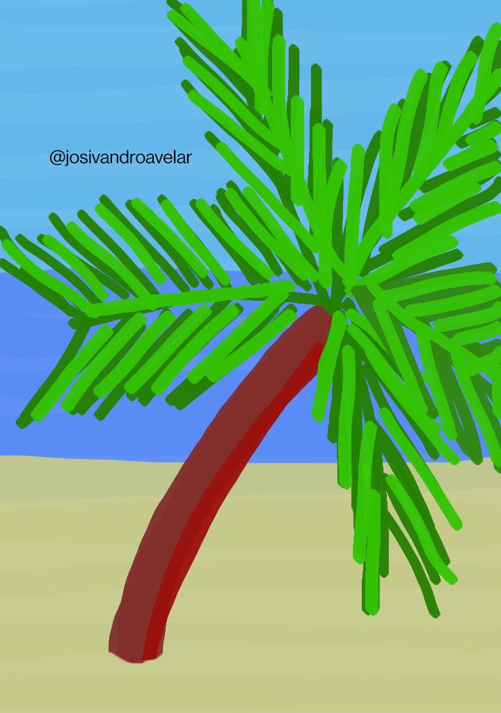 Bora desenhar? #001 1 Desenho de um coqueiro de praia, cuja criação foi exibida na timelapse que inaugura esta série.