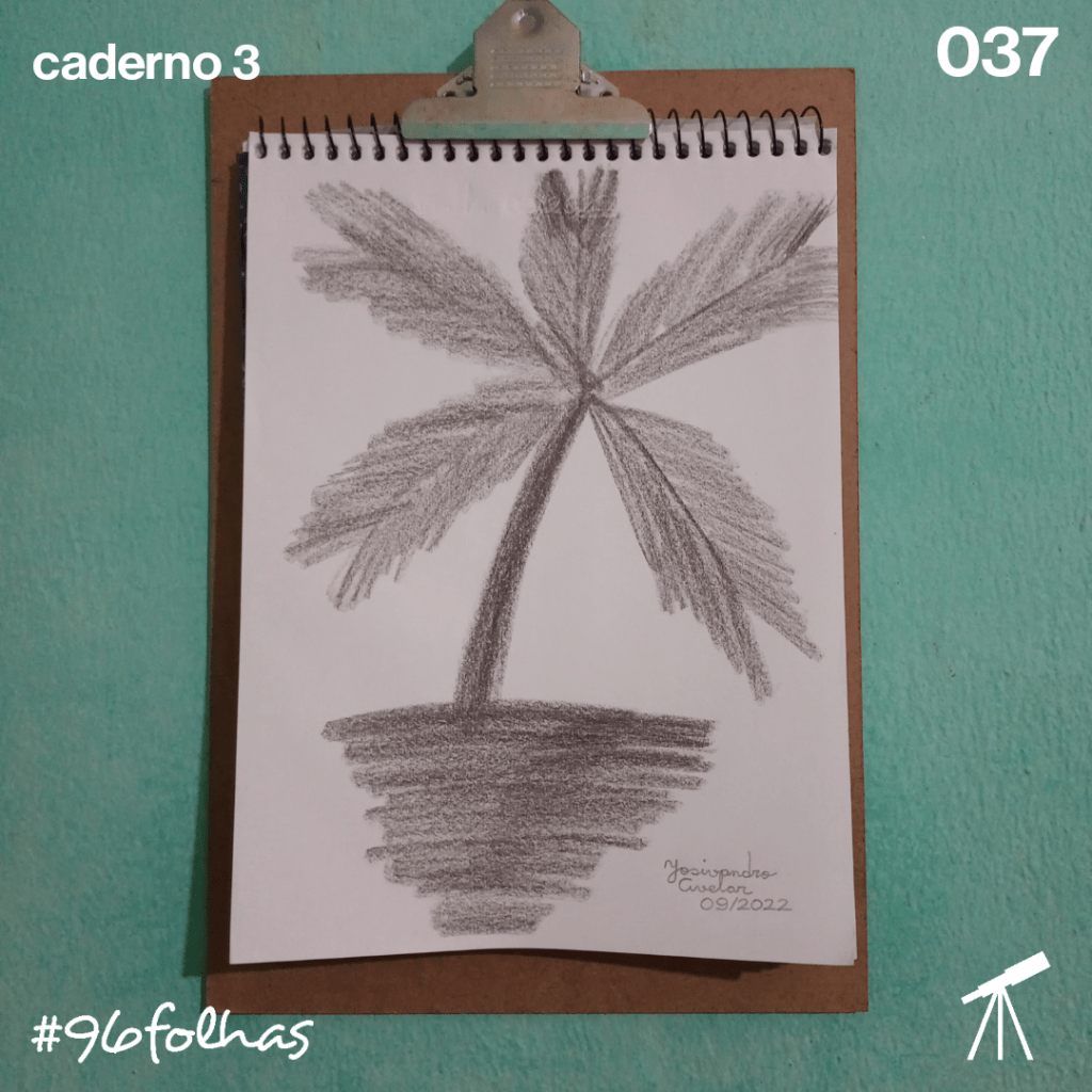 #96folhas- Coqueiro em preto e branco 1 Coqueiro em preto e branco