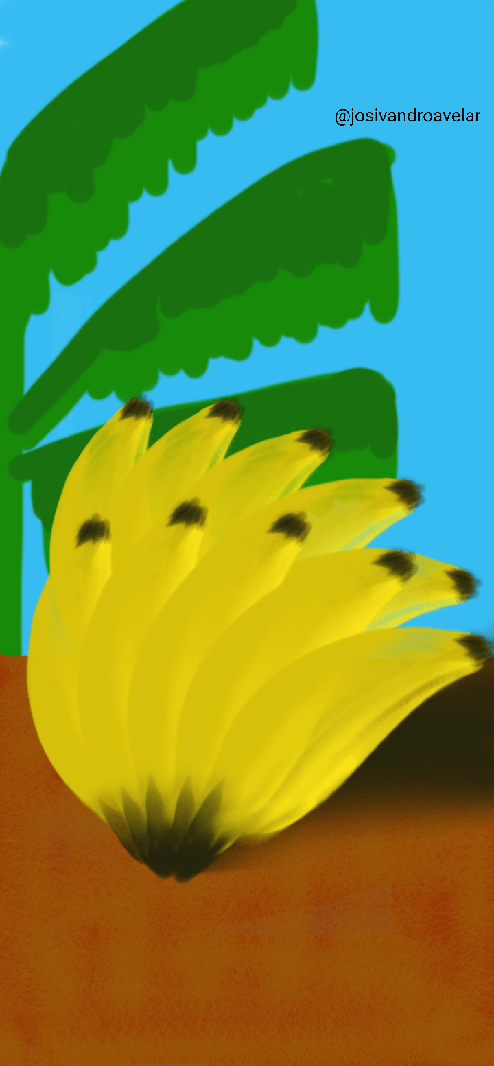 Artes digitais: cacho de bananas 1 Cacho de bananas.