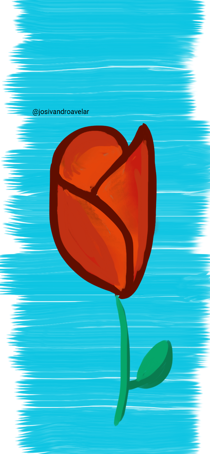 Artes digitais: botão de rosa 1 Desenho de um botão de rosa.