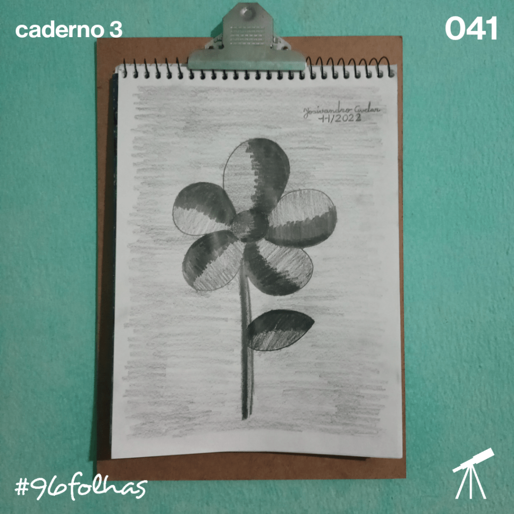 #96folhas- Flor em lápis grafite 1 Flor em lápis grafite.