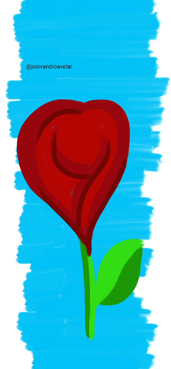 Artes digitais: uma rosa 1 Desenho de uma rosa.