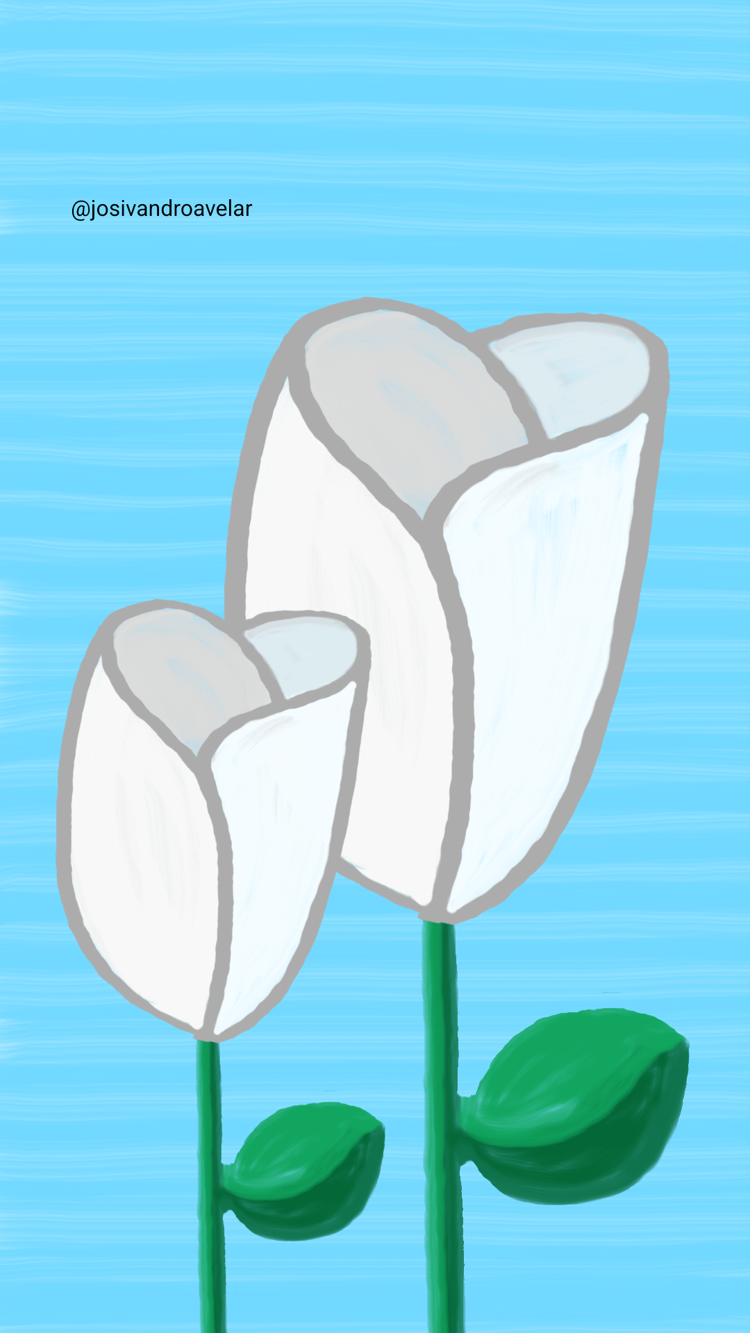 Artes digitais: rosas brancas 1 Desenho de rosas brancas, mas... Será que parecem rosas?