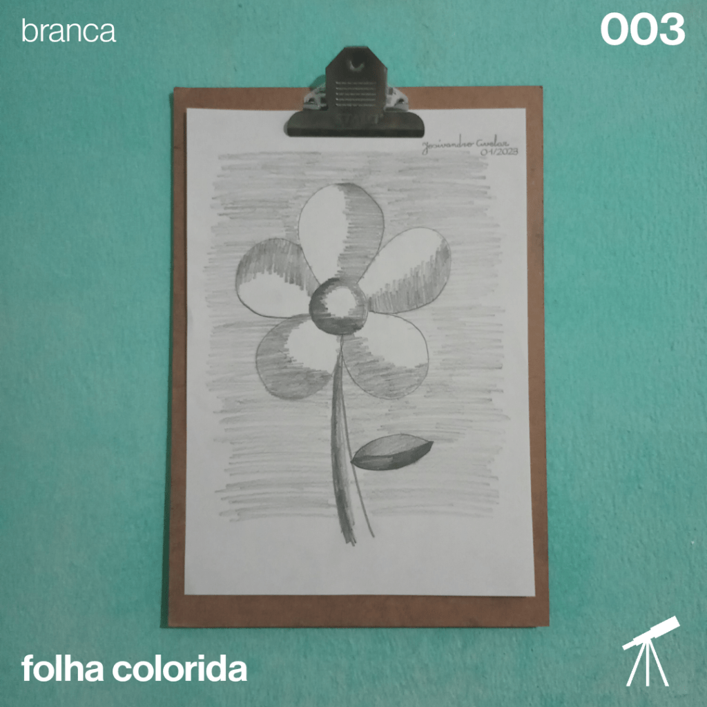 #FolhaBranca - Flor 1 Uma flor desenhada com lápis 3B.