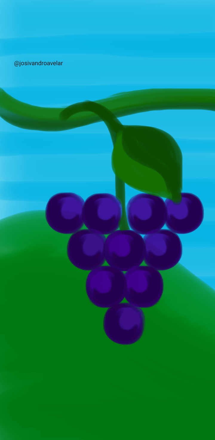 Artes digitais: cacho de uvas 1 Desenho de um cacho de uvas.