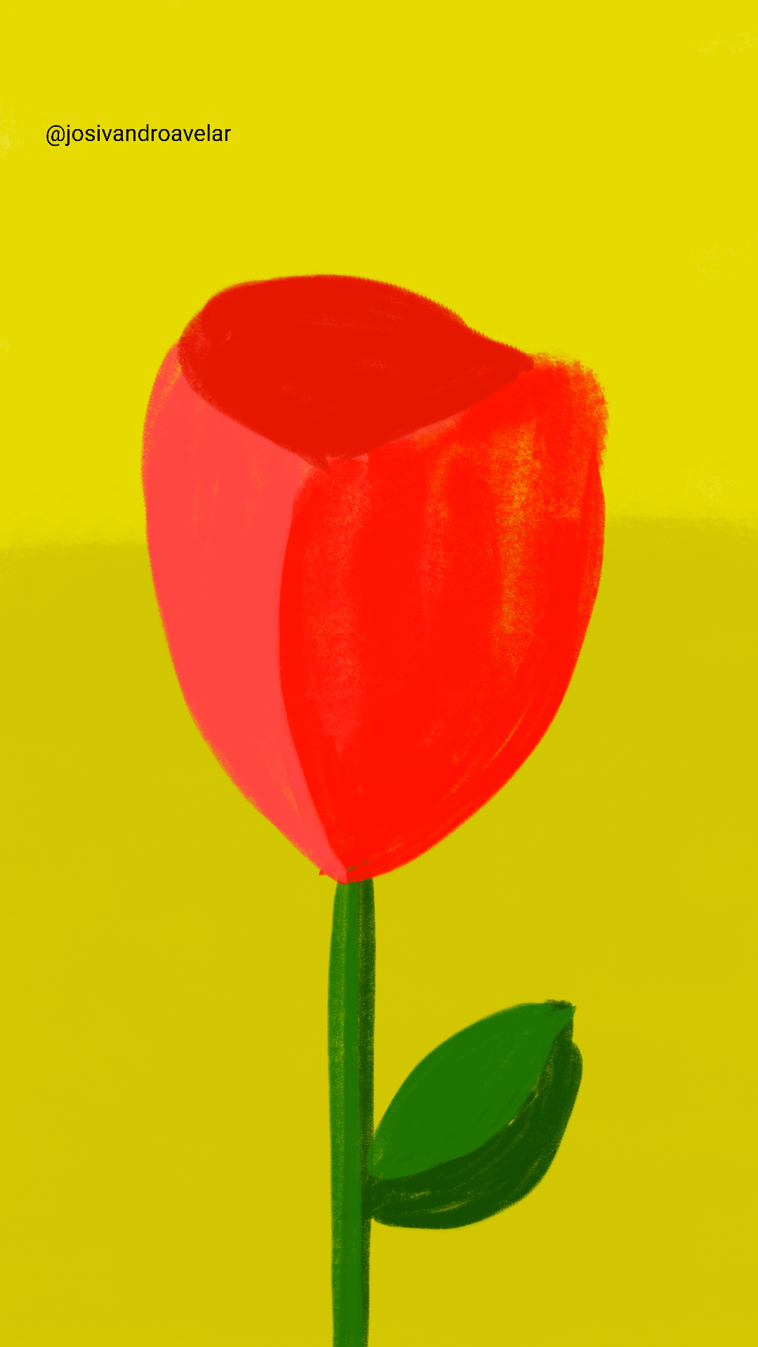 Artes digitais: uma rosa, sempre uma rosa 1 Uma rosa, sempre uma rosa.