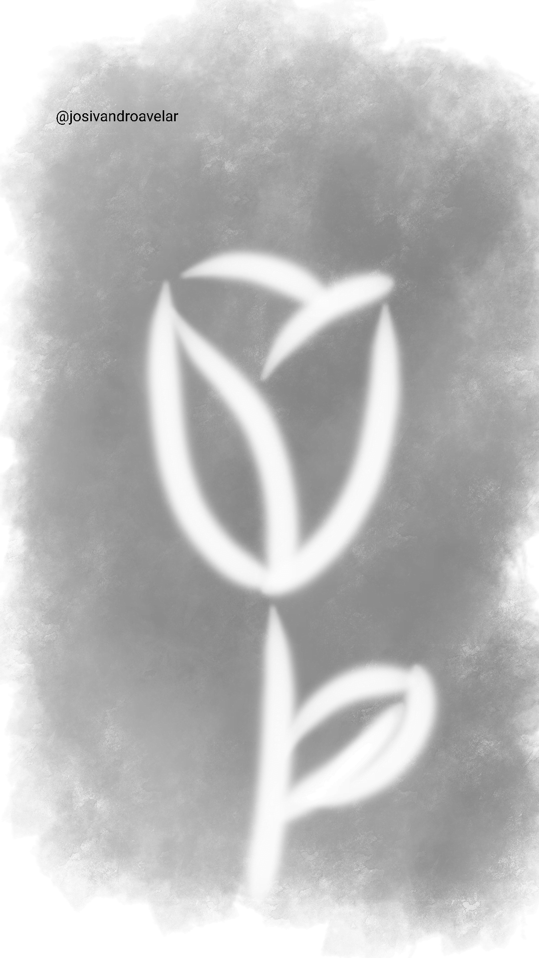 Artes digitais: há uma rosa 1 Neste desenho, há uma rosa.