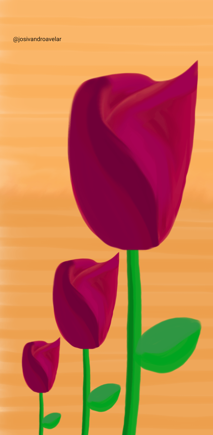 Artes digitais: flores ao amanhecer 1 Desenho de flores ao amanhecer.