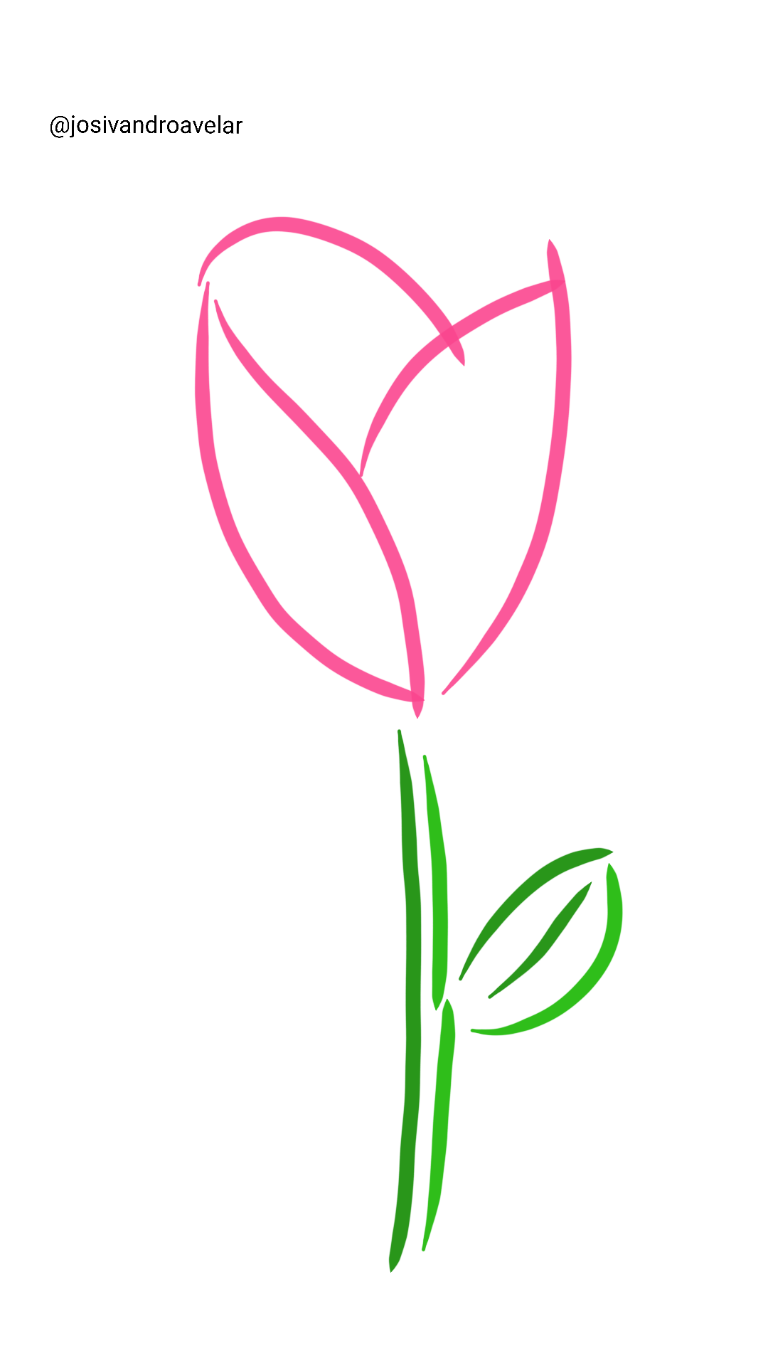 Artes digitais: quantas linhas fazem uma rosa? 1 Quantas linhas fazem uma rosa?