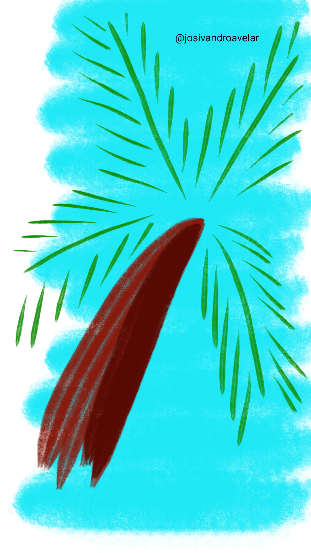 Artes digitais: palmeira de praia 1 Desenho de uma palmeira de praia.