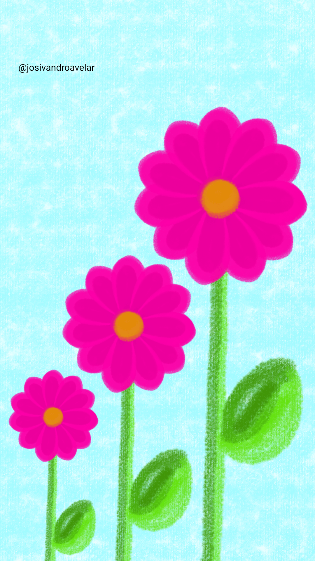 Artes digitais: flores de giz 1 Flores de giz.