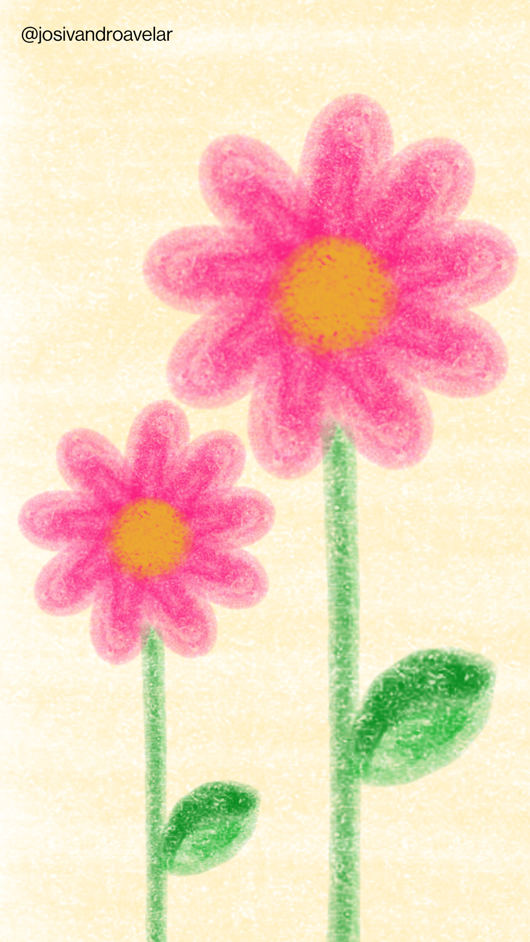 Artes digitais: outras flores de giz 1 Desenho de outras flores de giz.