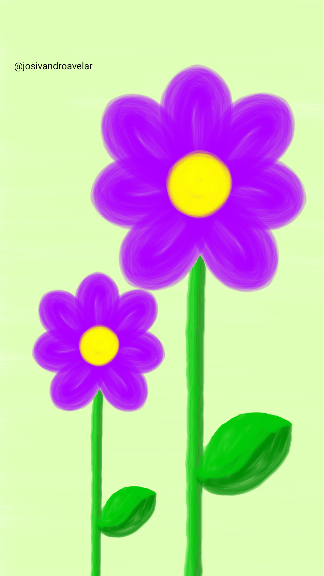 Artes digitais: lilás 1 Flores lilás.