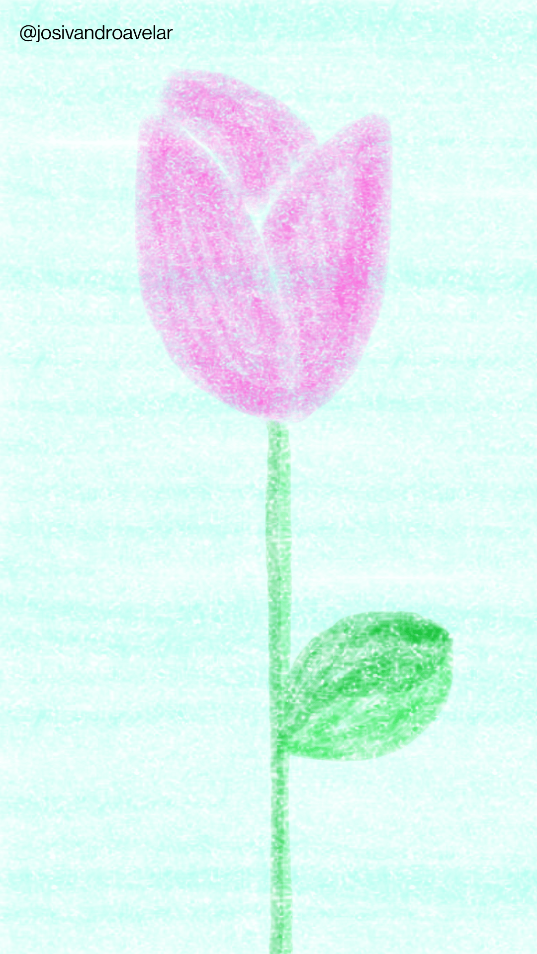 Artes digitais: tulipa de giz 1 Desenho de uma tulipa de giz.