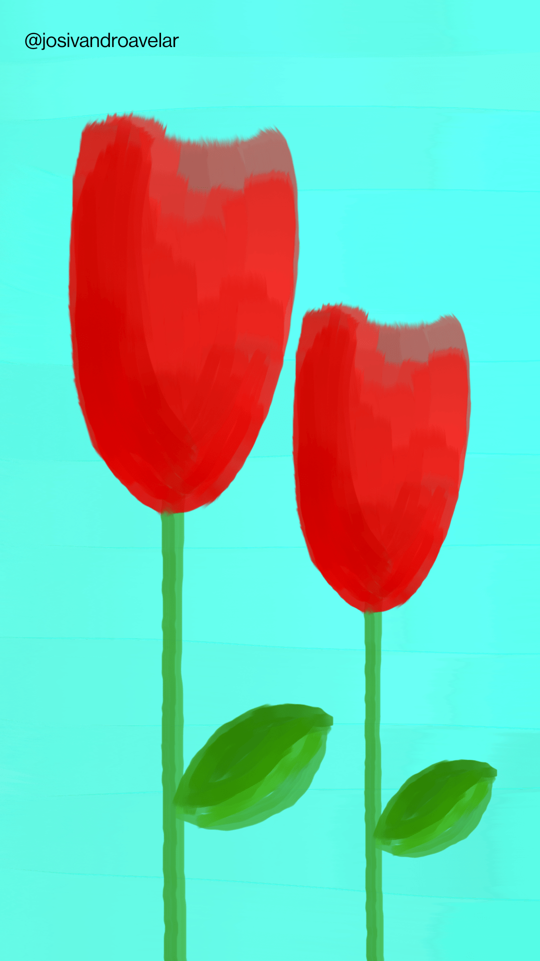 Artes digitais: tulipas vermelhas 2 1 Outras tulipas vermelhas.