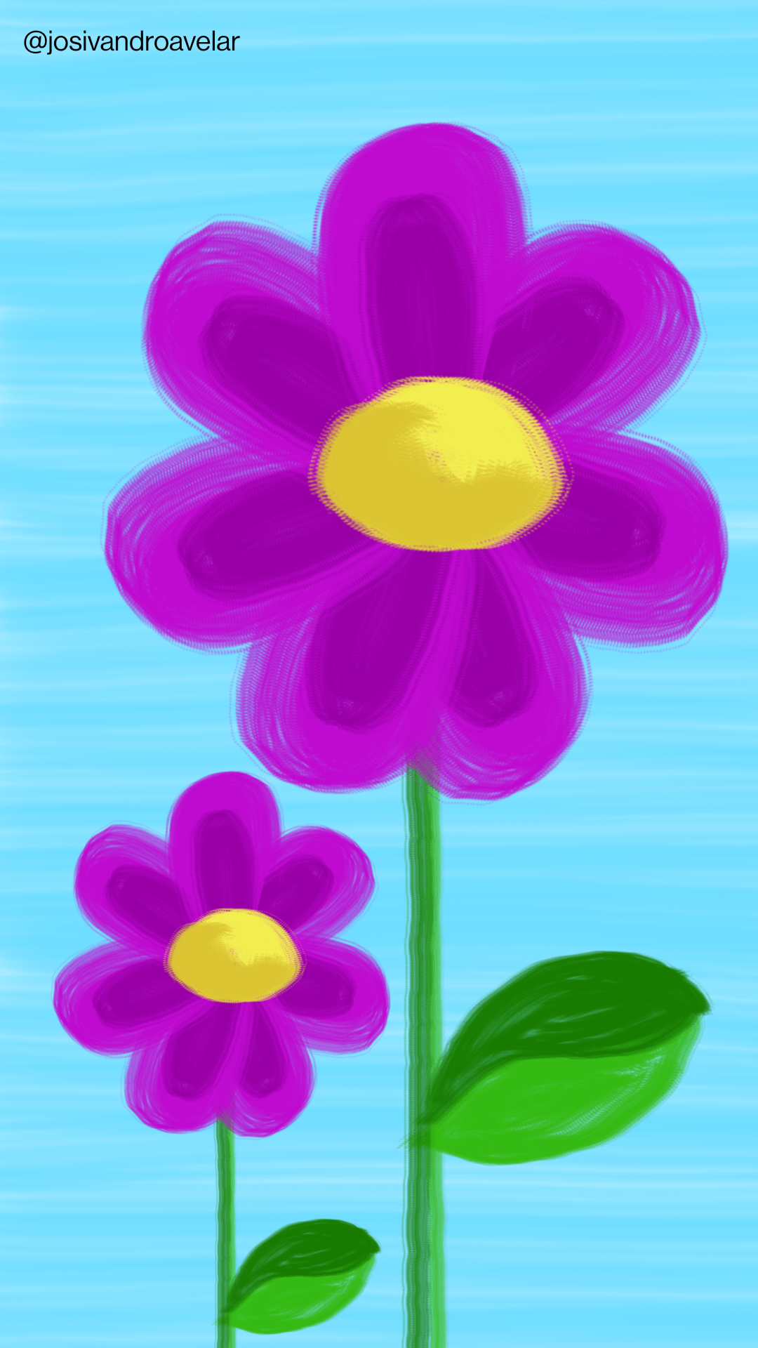 Artes digitais: violetas em meu jardim 1 Violetas em meu jardim.