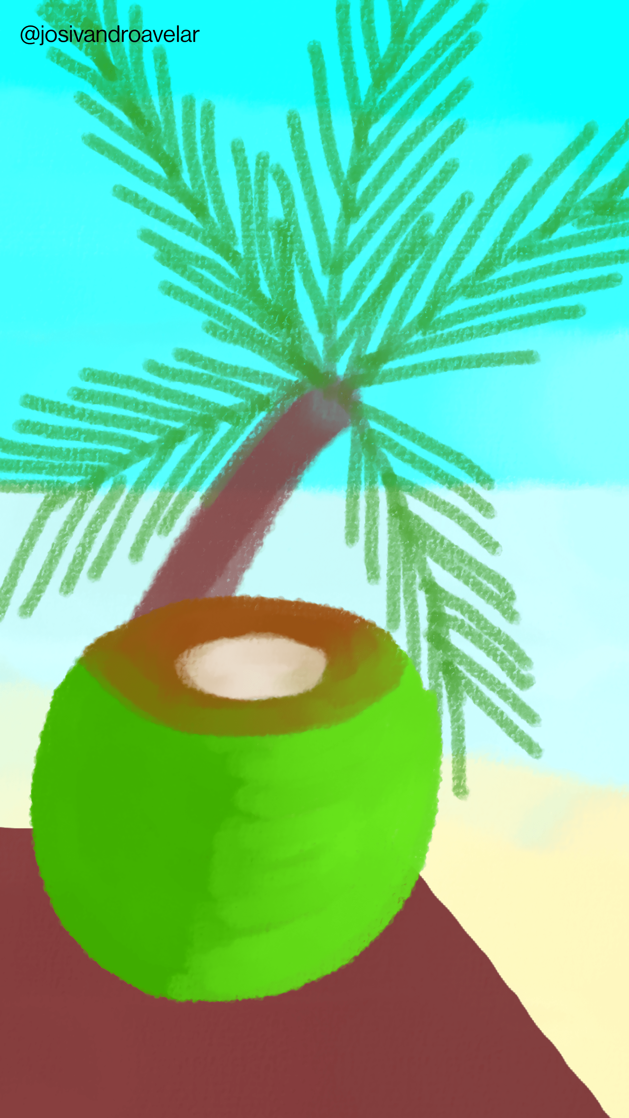 Artes digitais: água de coco 1 Água de coco.