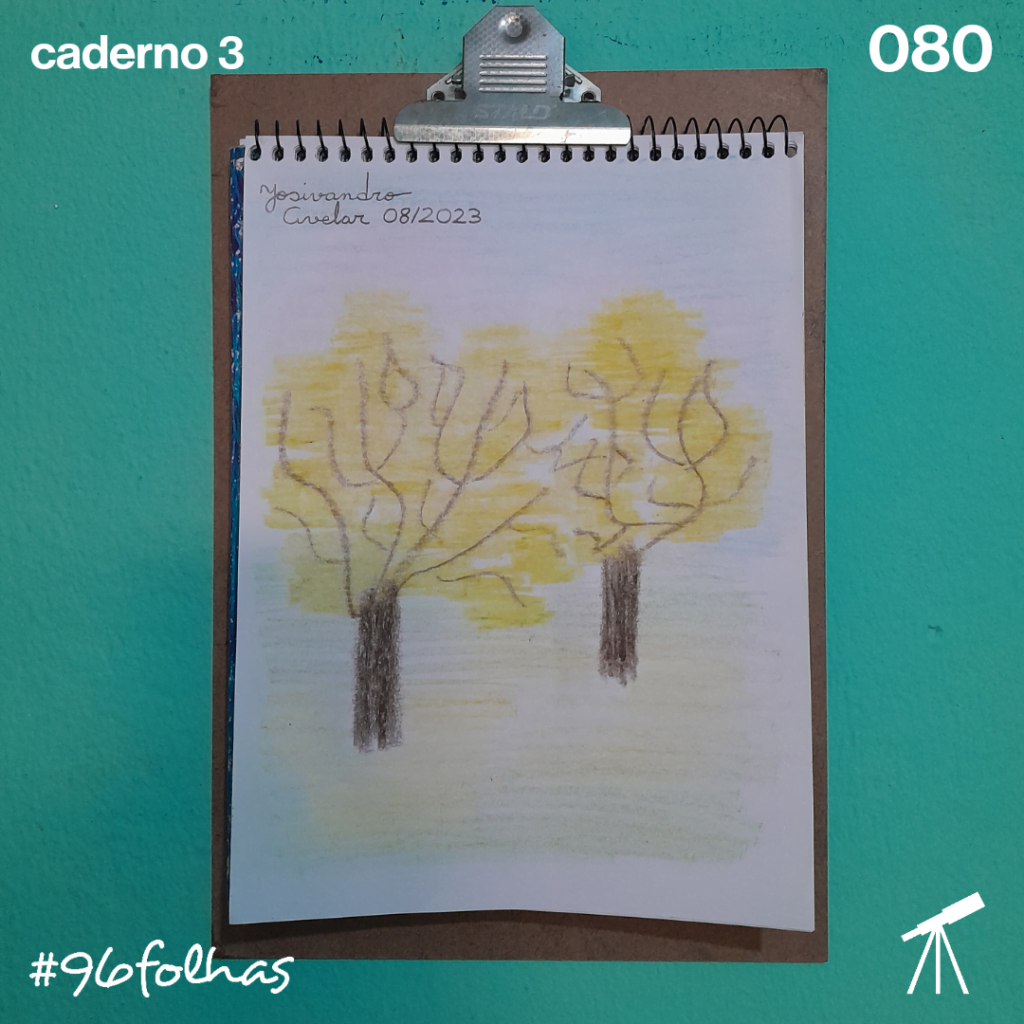 #96folhas- Ipês amarelos 1 Ipês amarelos.