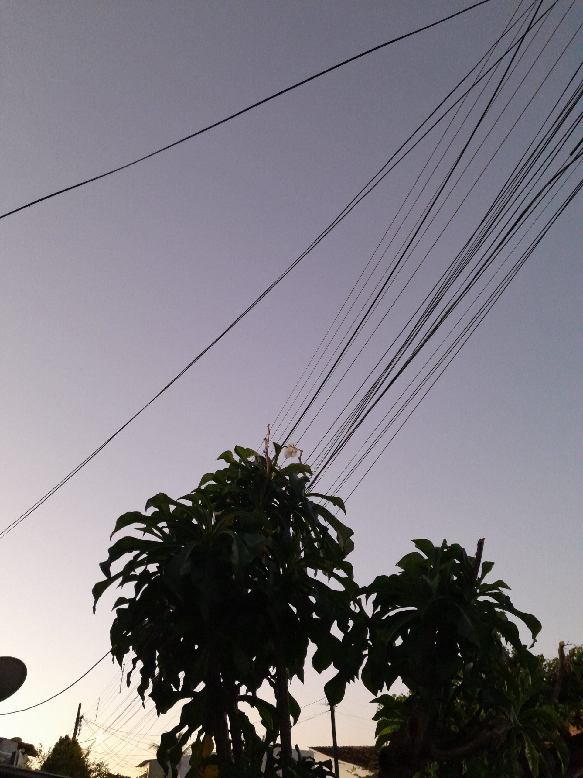 Se me permitem mostrar um fim de tarde... 1 Se me permitem mostrar um fim de tarde...
