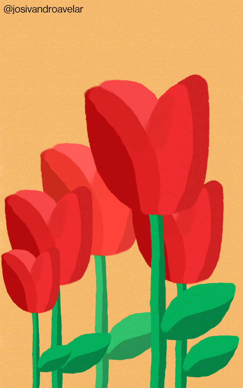 Artes digitais: tulipas vermelhas ao amanhecer 1 Desenho de tulipas vermelhas ao amanhecer.