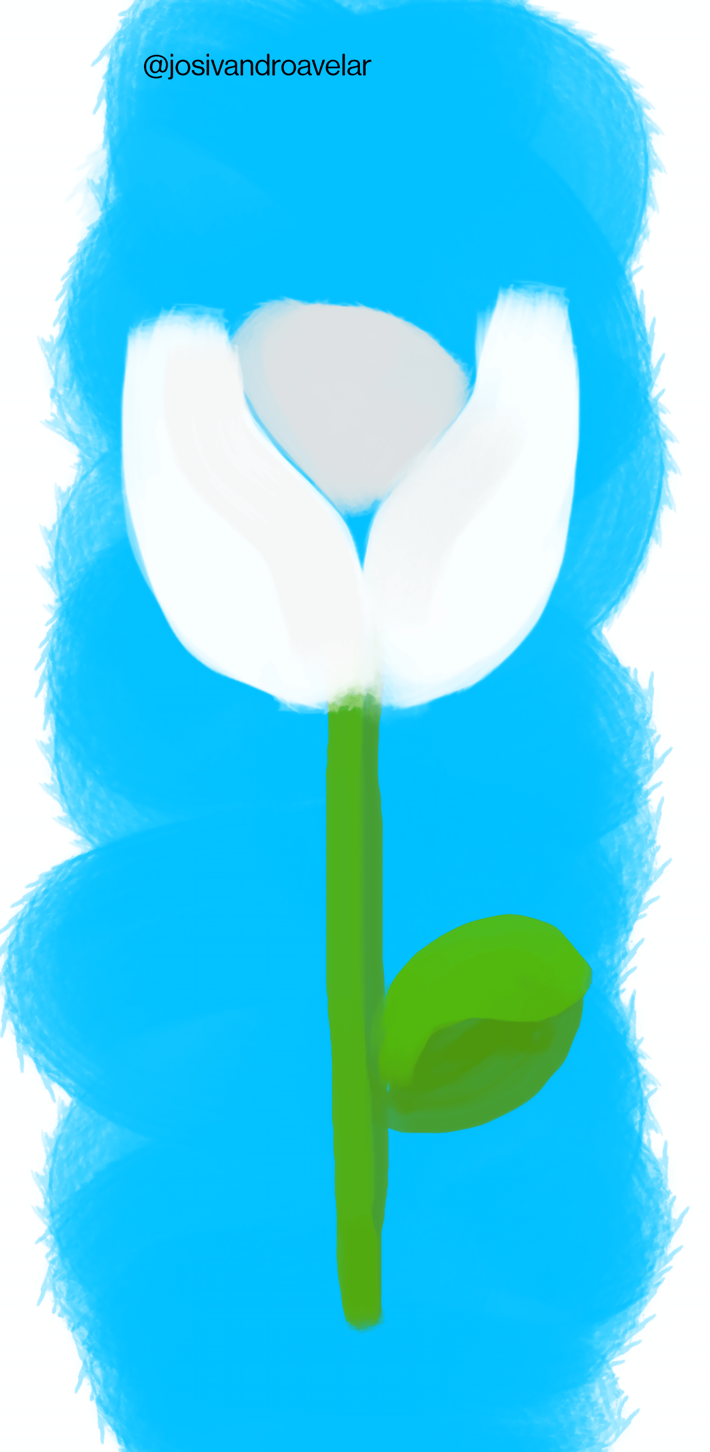 Bora desenhar? #005 1 A rosa branca do post de hoje, feita no computador que eu usei até este domingo.