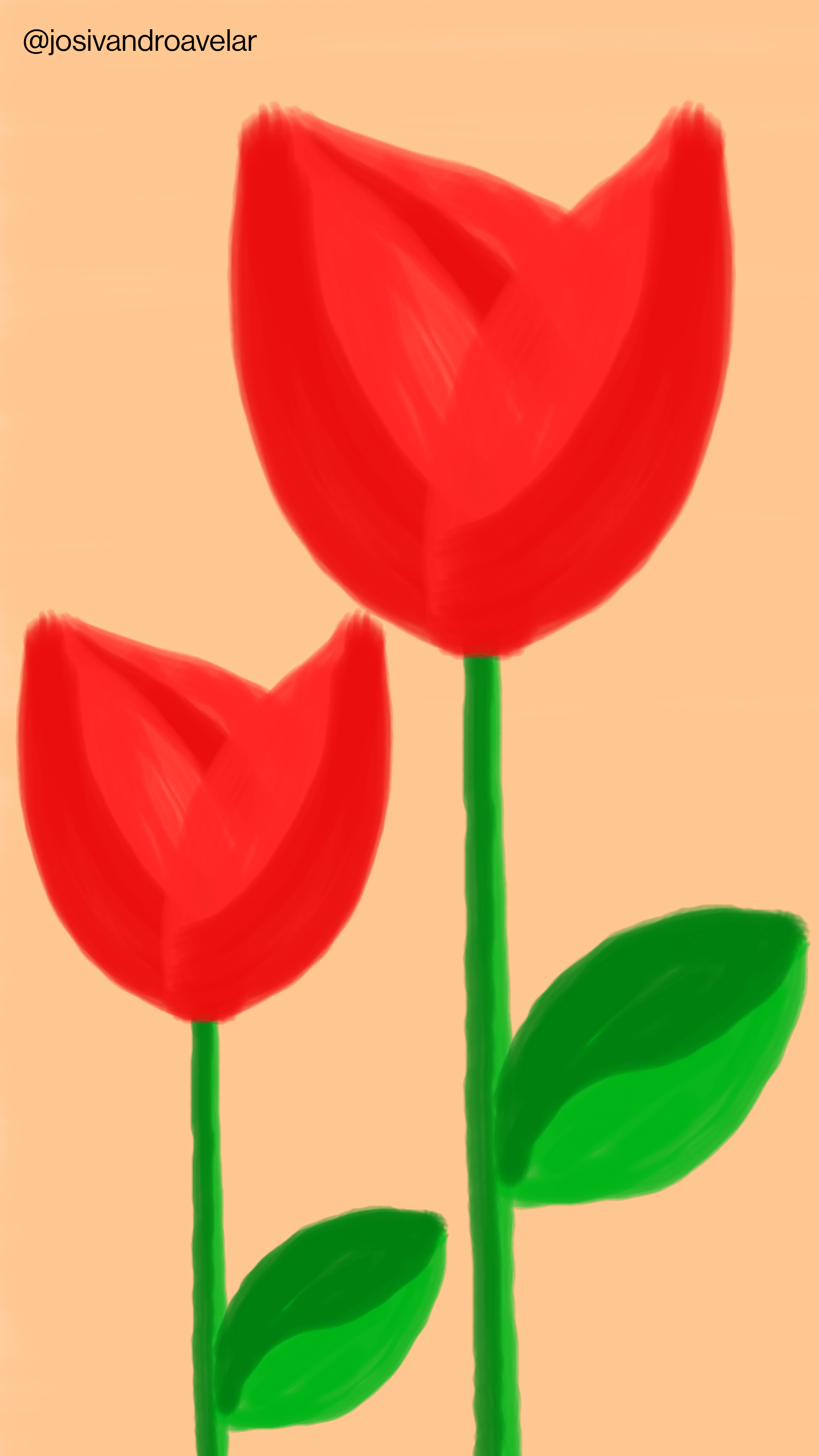 Artes digitais: duas tulipas vermelhas 1 Desenho de duas tulipas vermelhas em um fundo alaranjado.