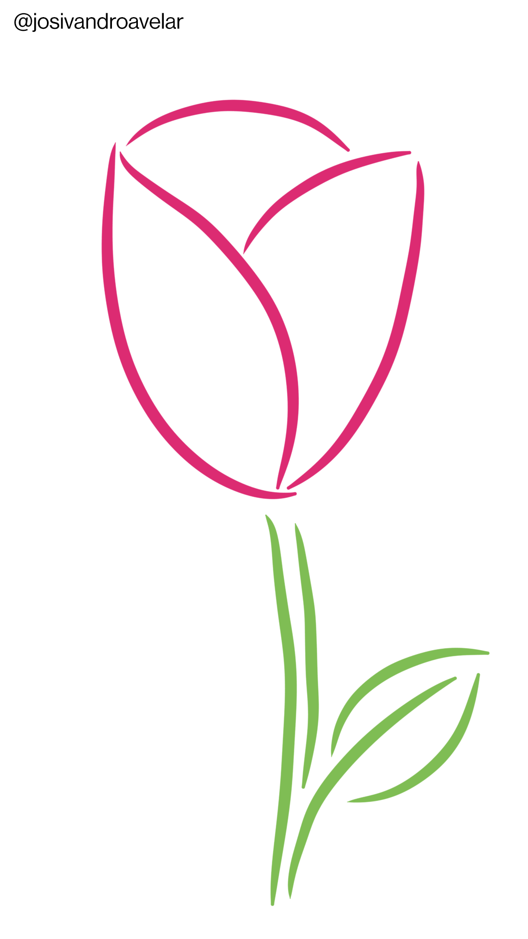 Artes digitais: traços de rosa 1 Traços de rosa, é o seu nome.