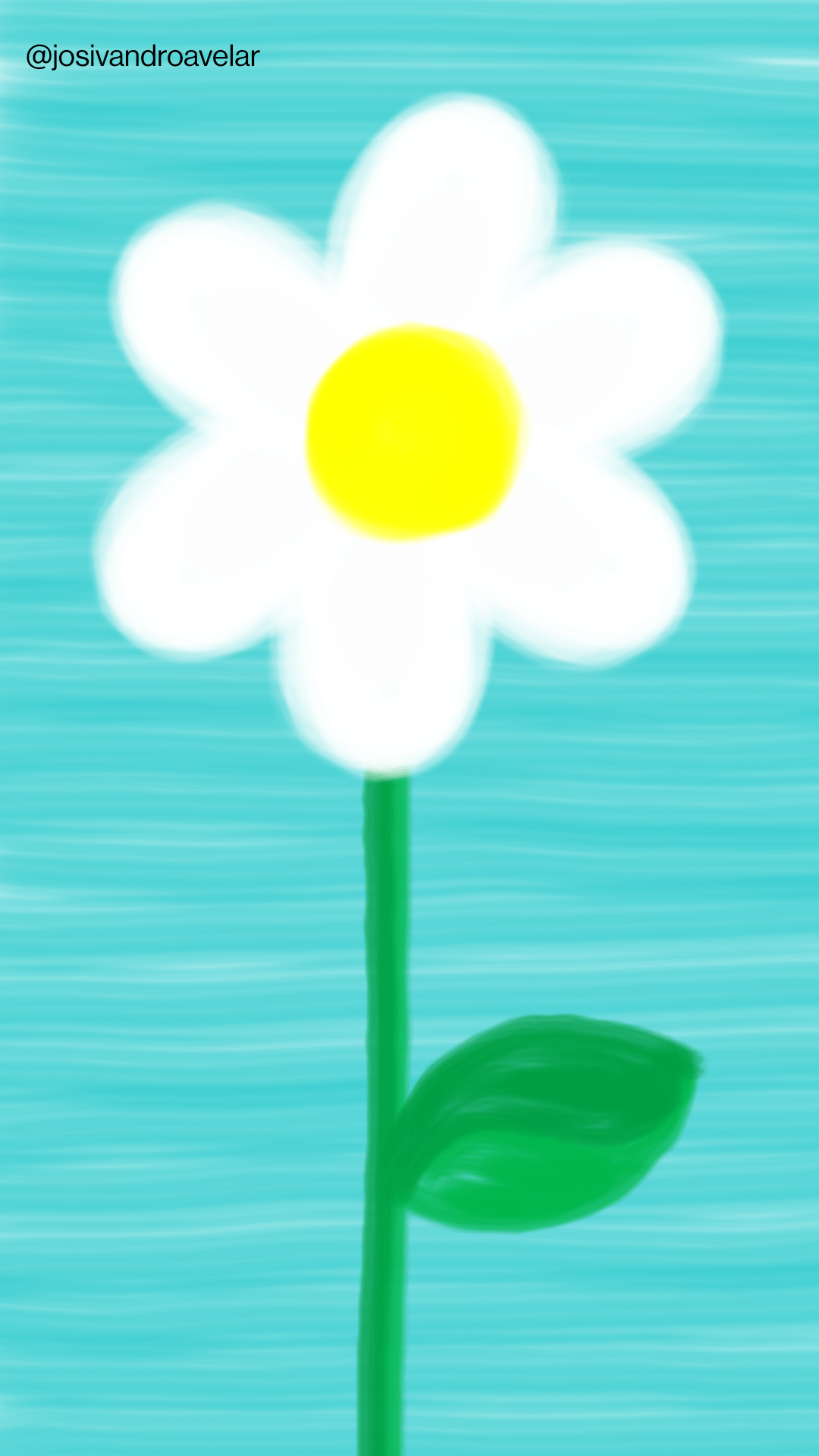 Desenho de uma flor branca sob fundo azul.