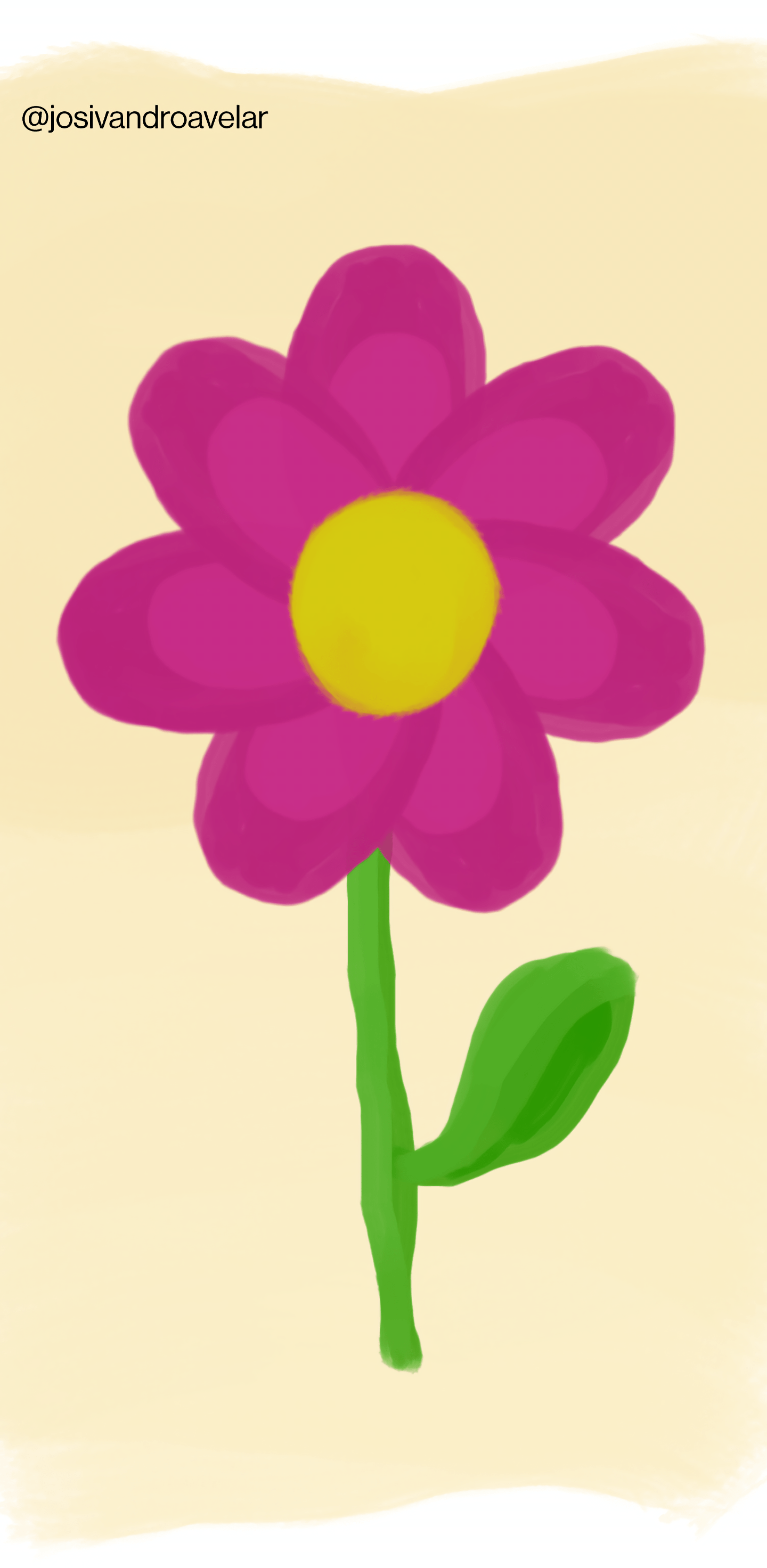 Artes digitais: flor de junho (em outubro) 1 Desenho de uma flor que eu batizei de flor de junho.