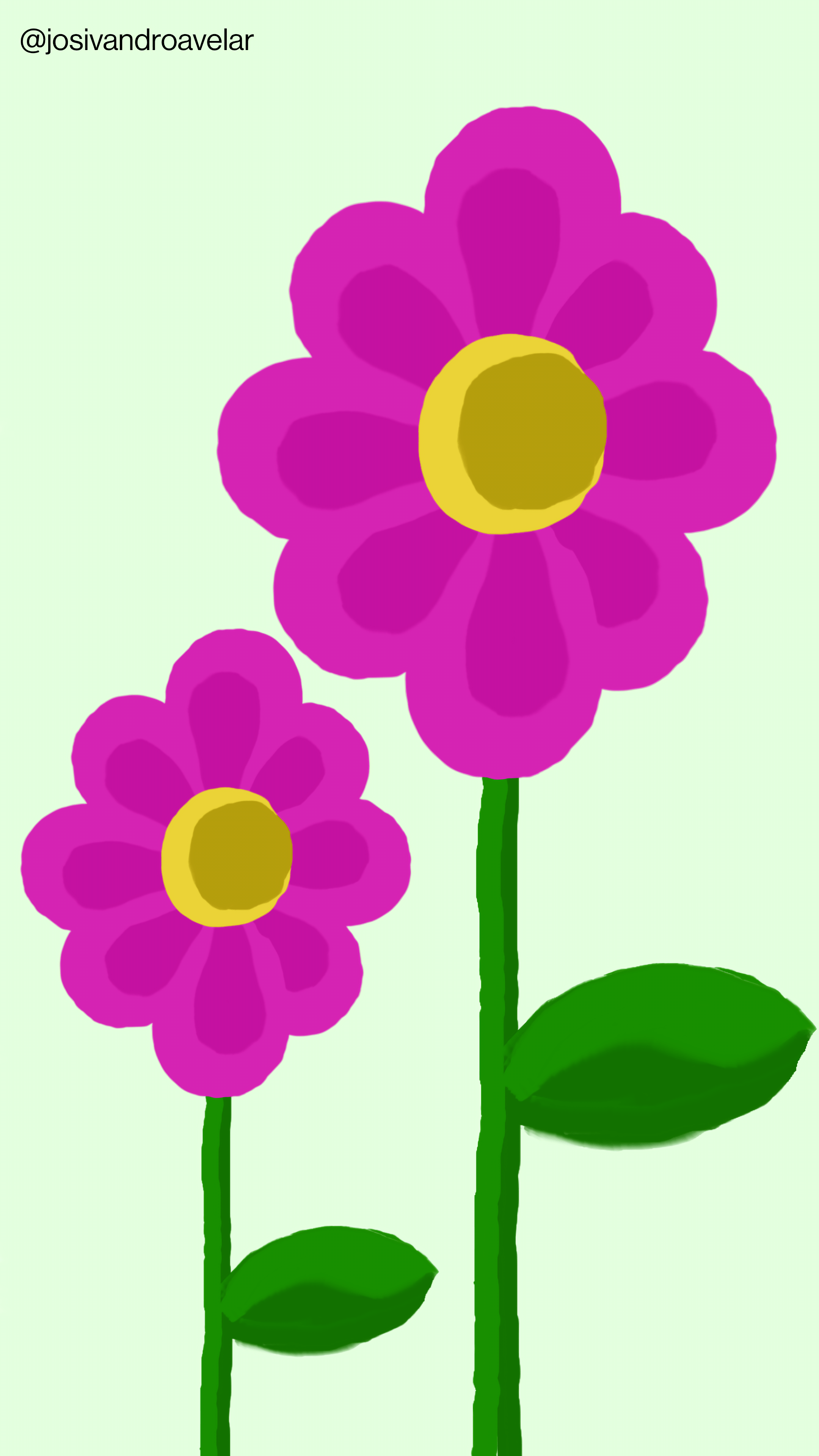 Artes digitais: jardim das violetas 1 Desenho de duas violetas em traços trêmulos e em um fundo verde leve, que eu batizei como jardim das violetas.