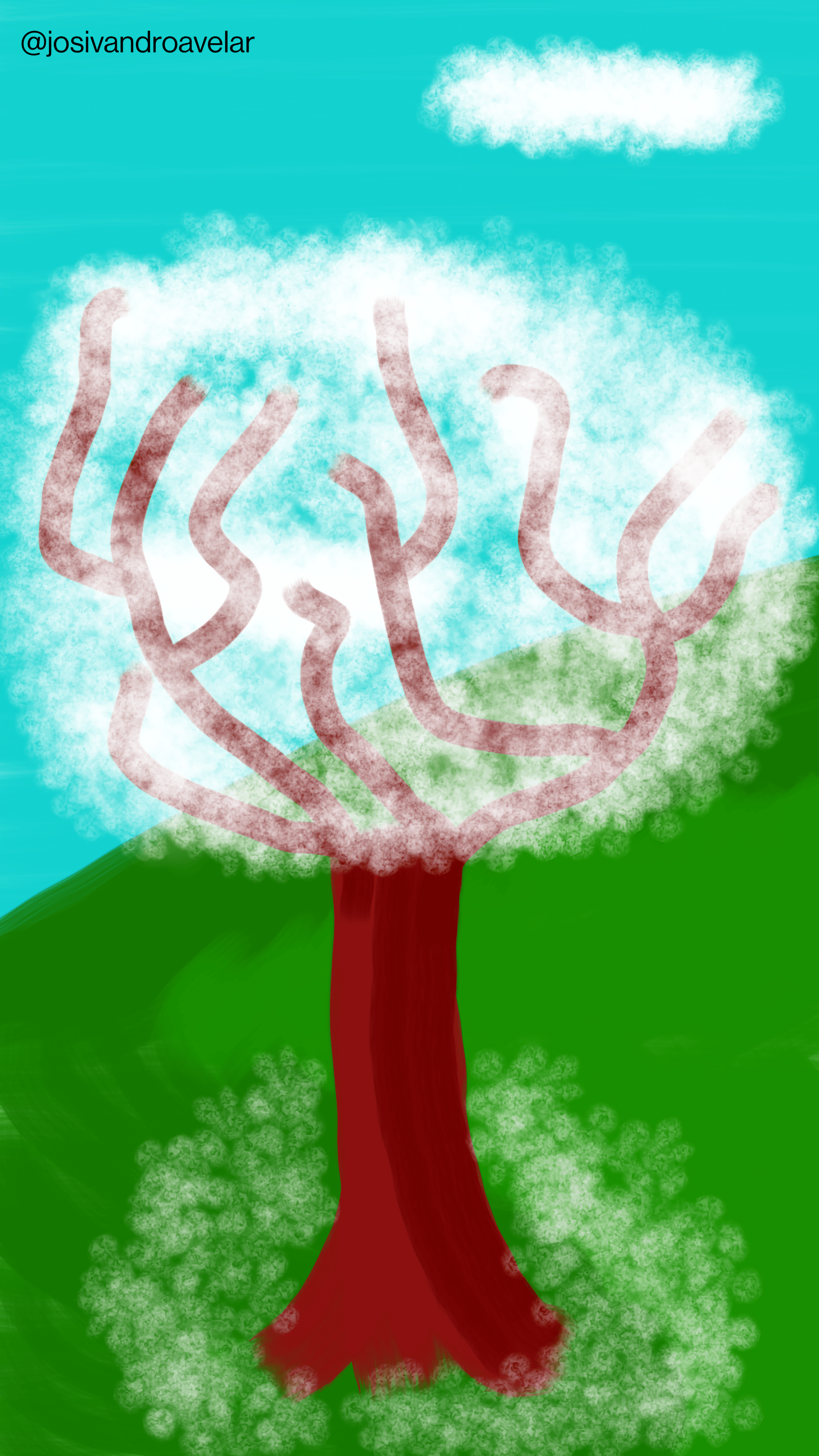 Artes digitais: ipê branco 1 Desenho de um ipê branco, com flores ao seu redor caídas no chão.