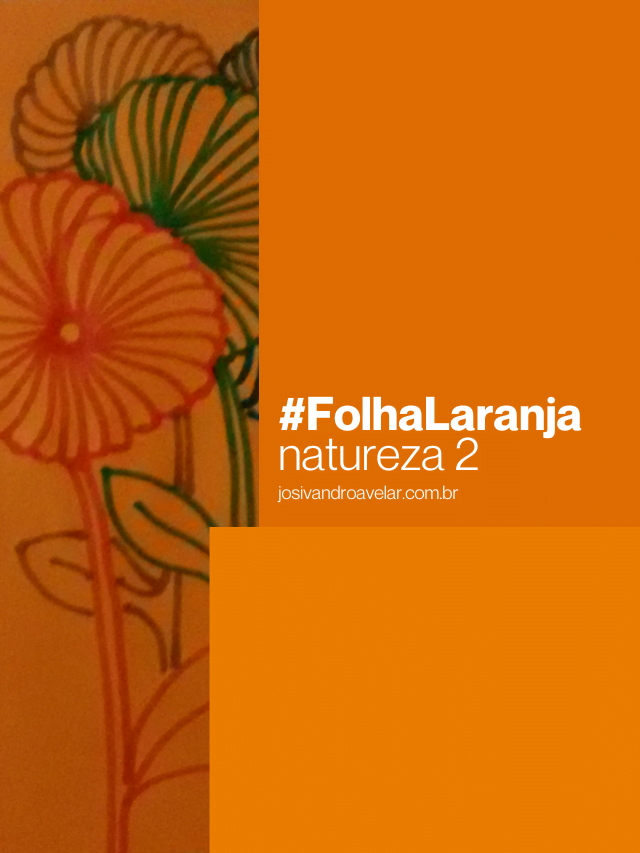 #FolhaLaranja – natureza 2
