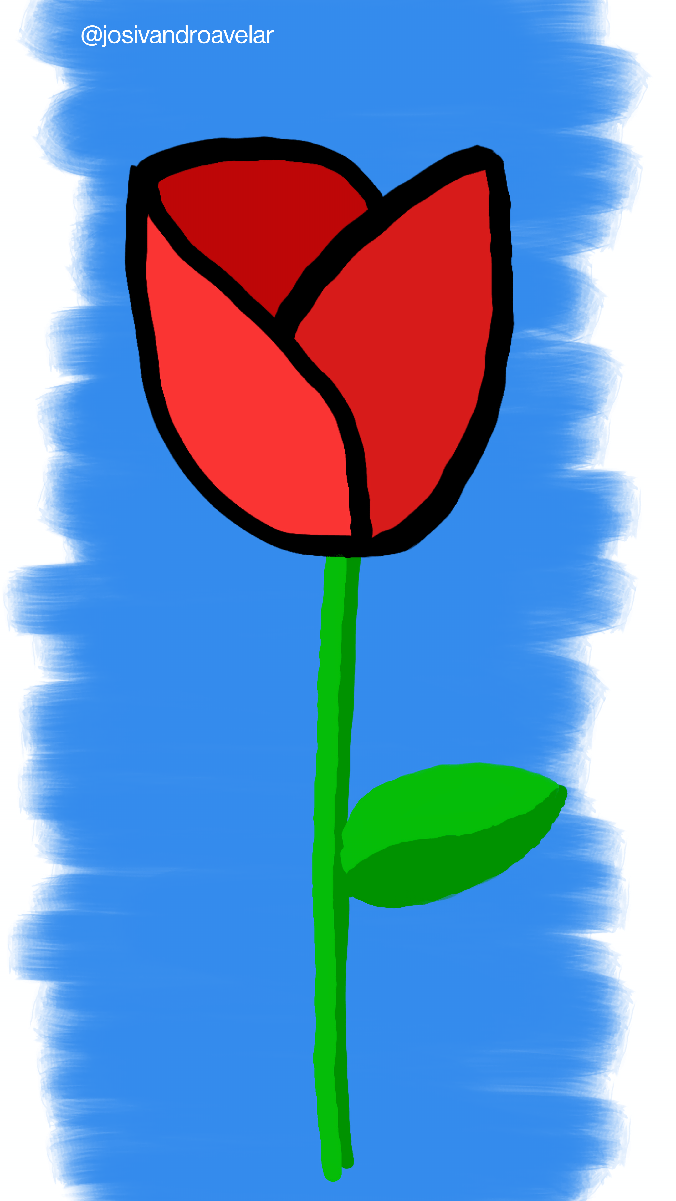 Bora desenhar? #003 1 E por que não outra rosa?