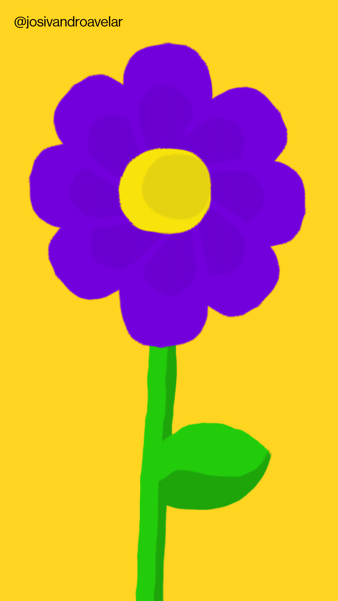 Artes digitais: violeta vibrante 1 Desenho de uma violeta vibrante sobre fundo amarelo.