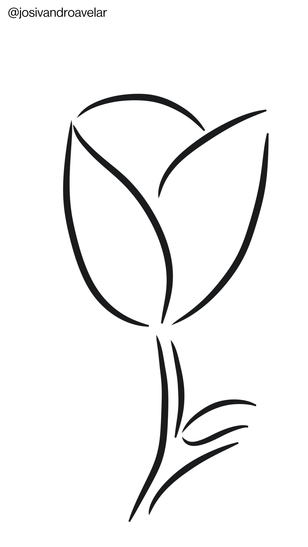 Artes digitais: num instante, uma rosa 1 Desenho de uma rosa feita em um instante.