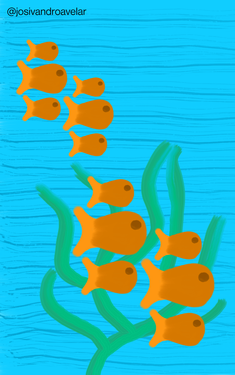 Artes digitais: vida no fundo do mar 1 Doze peixes laranjas nadam no fundo do mar, com uma planta ornamentando o cenário azul.