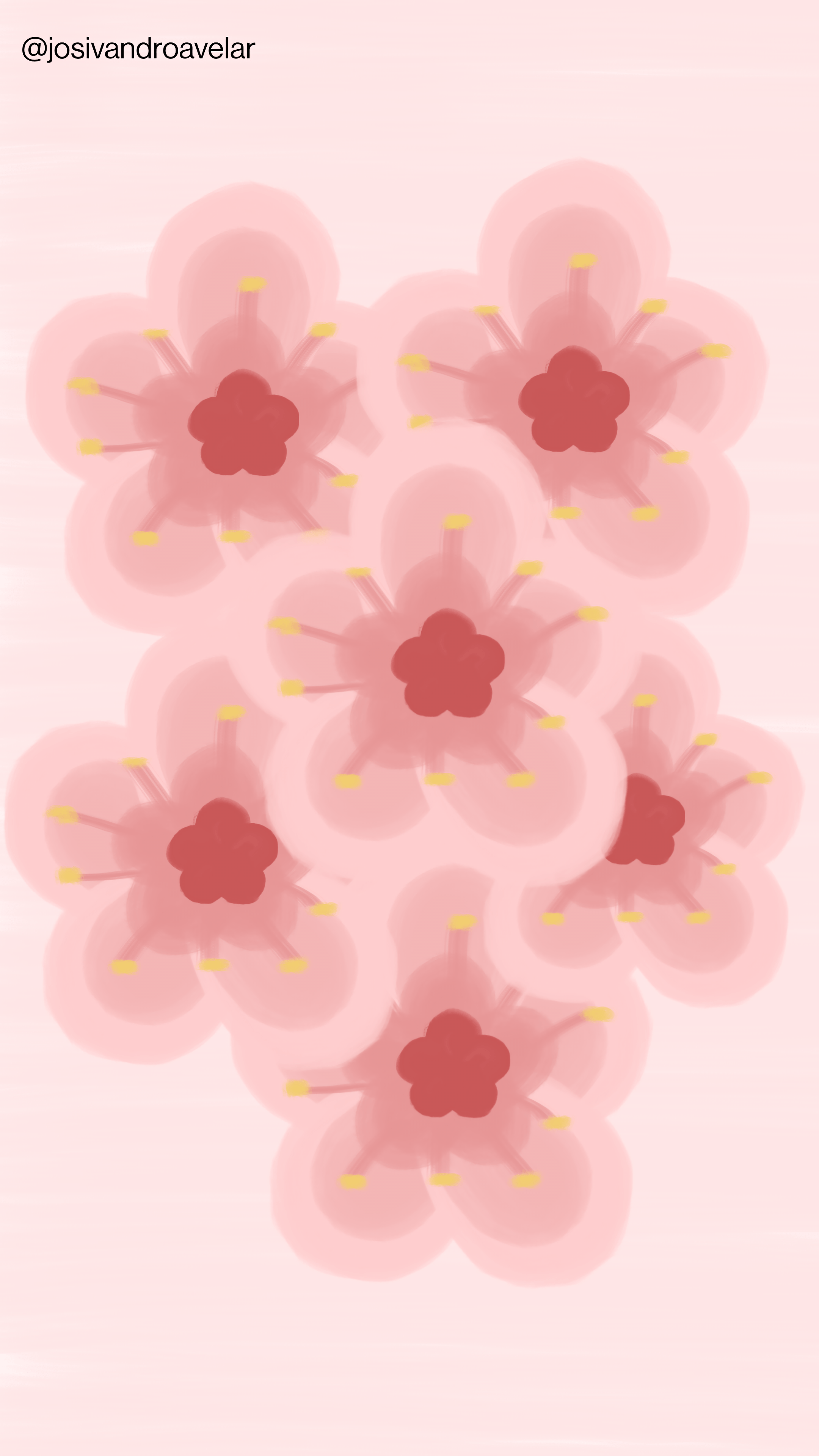 Artes digitais: flor de cerejeira 1 A flor de cerejeira são várias flores de cerejeira. Uma das minhas artes digitais favoritas.