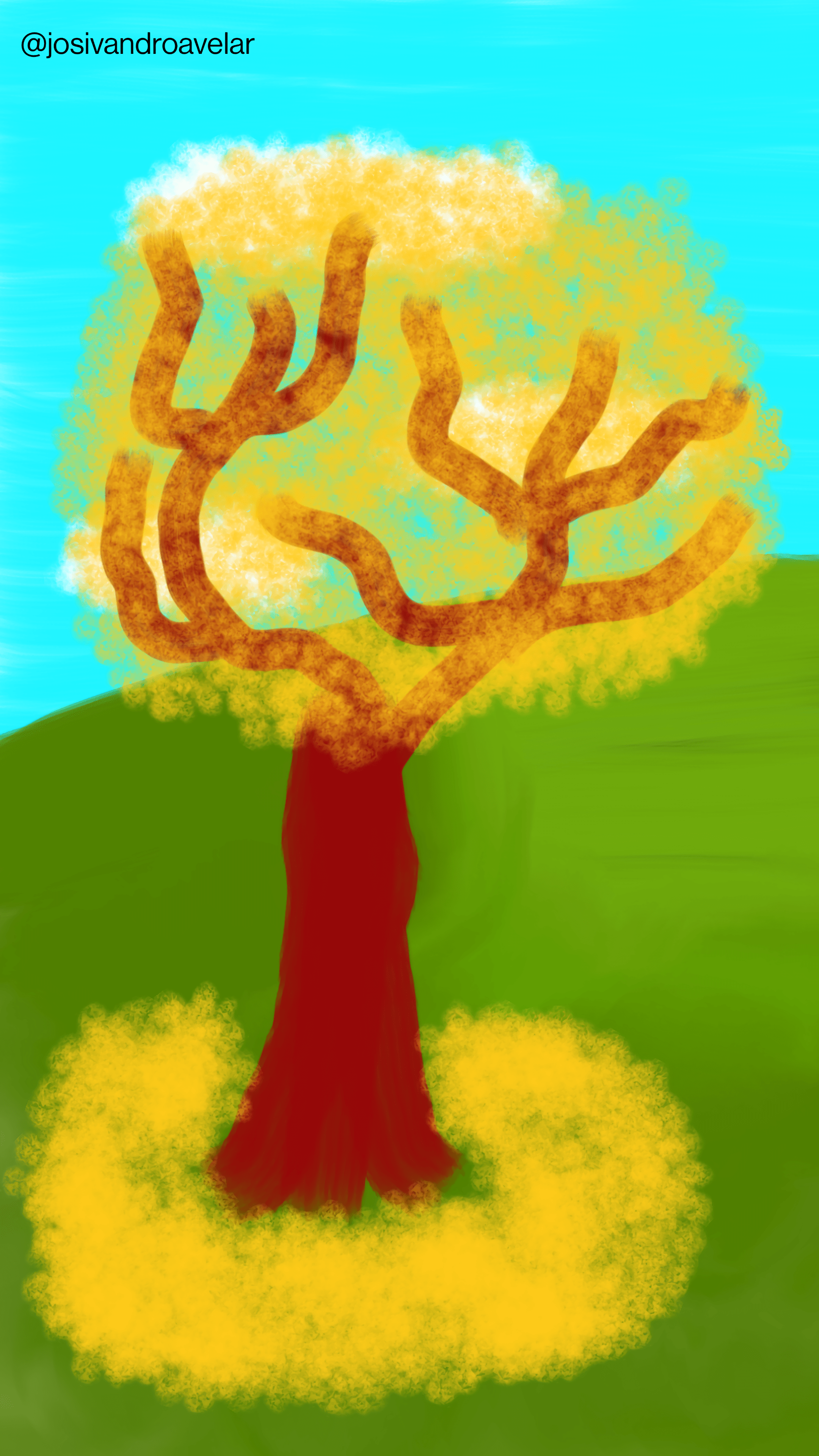 Artes digitais: ipê amarelo 1 Desenho de um ipê amarelo.