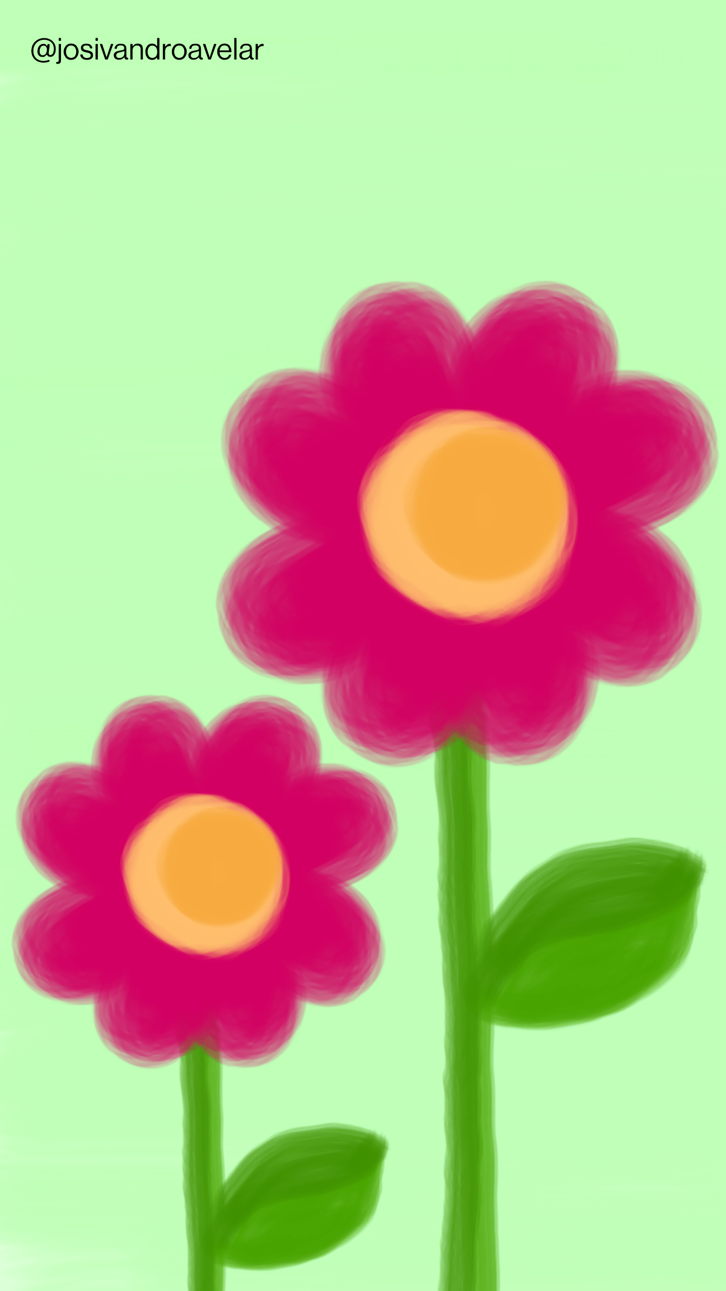 Artes digitais: flores e cores 1 Flor magenta em fundo verde, representando as flores e cores da temporada 2024.