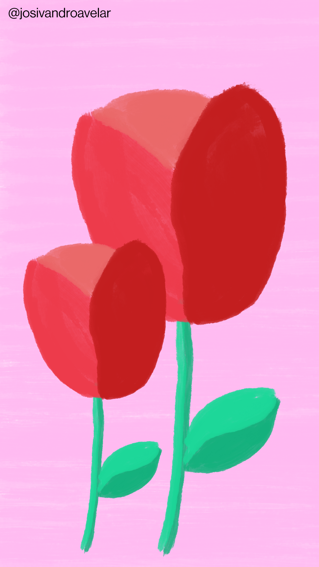 Artes digitais: rosas 1 Desenho de rosas vermelhas sobre fundo rosa.