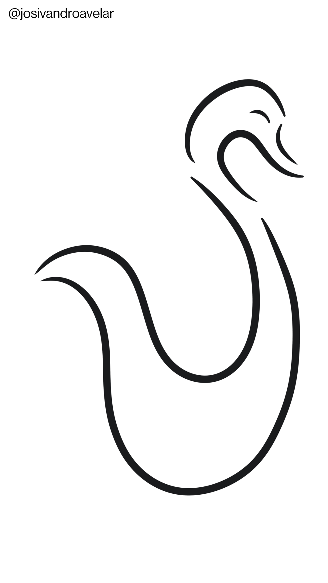 Artes digitais: cisne branco 1 Desenho de um cisne branco em curvas pretas.