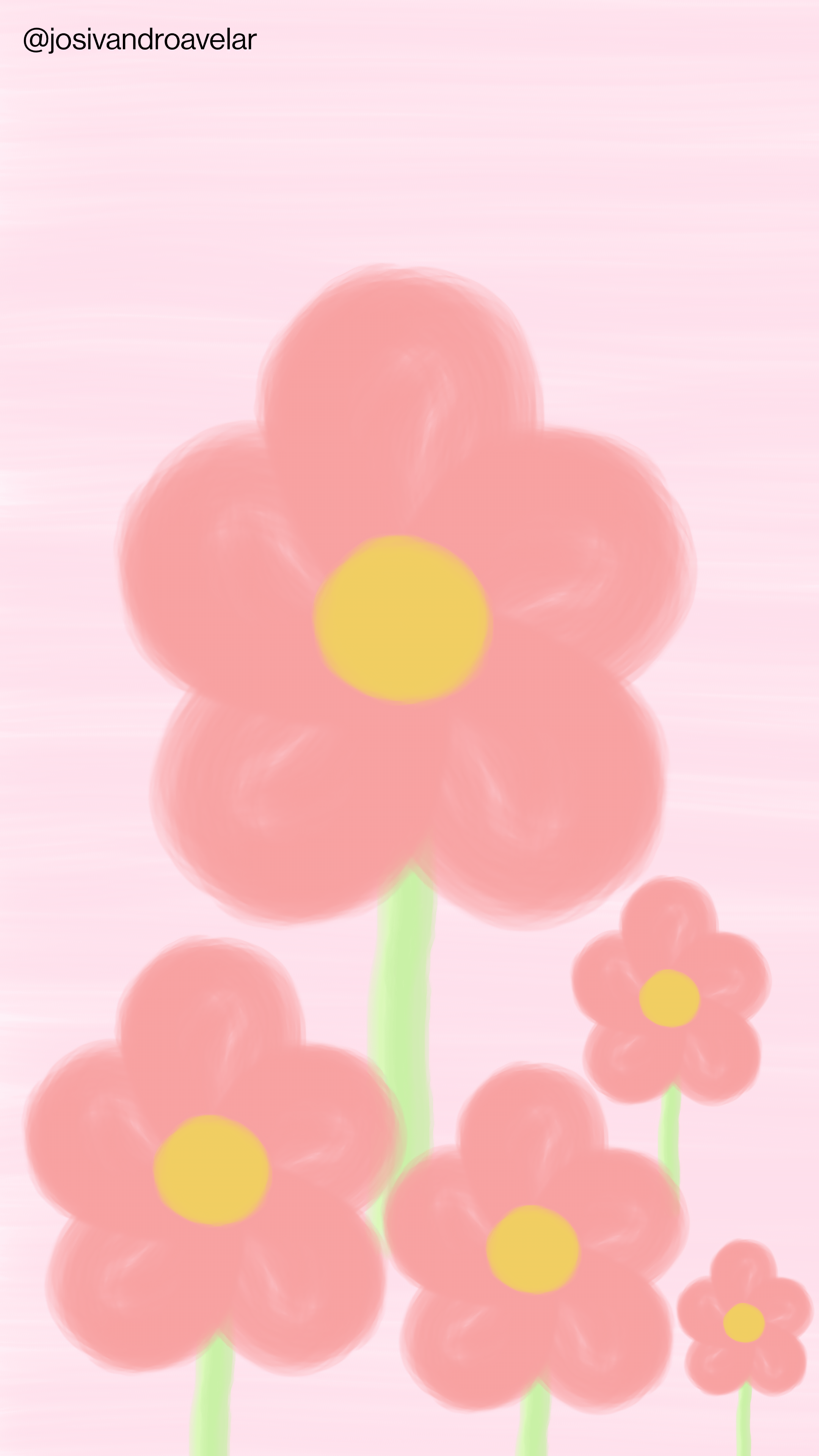 Artes digitais: delicadeza 1 Desenho de cinco flores de diferentes tamanhos em tons de cor de rosa, em um fundo com outro tom de cor de rosa, representando a delicadeza das formas e cores.