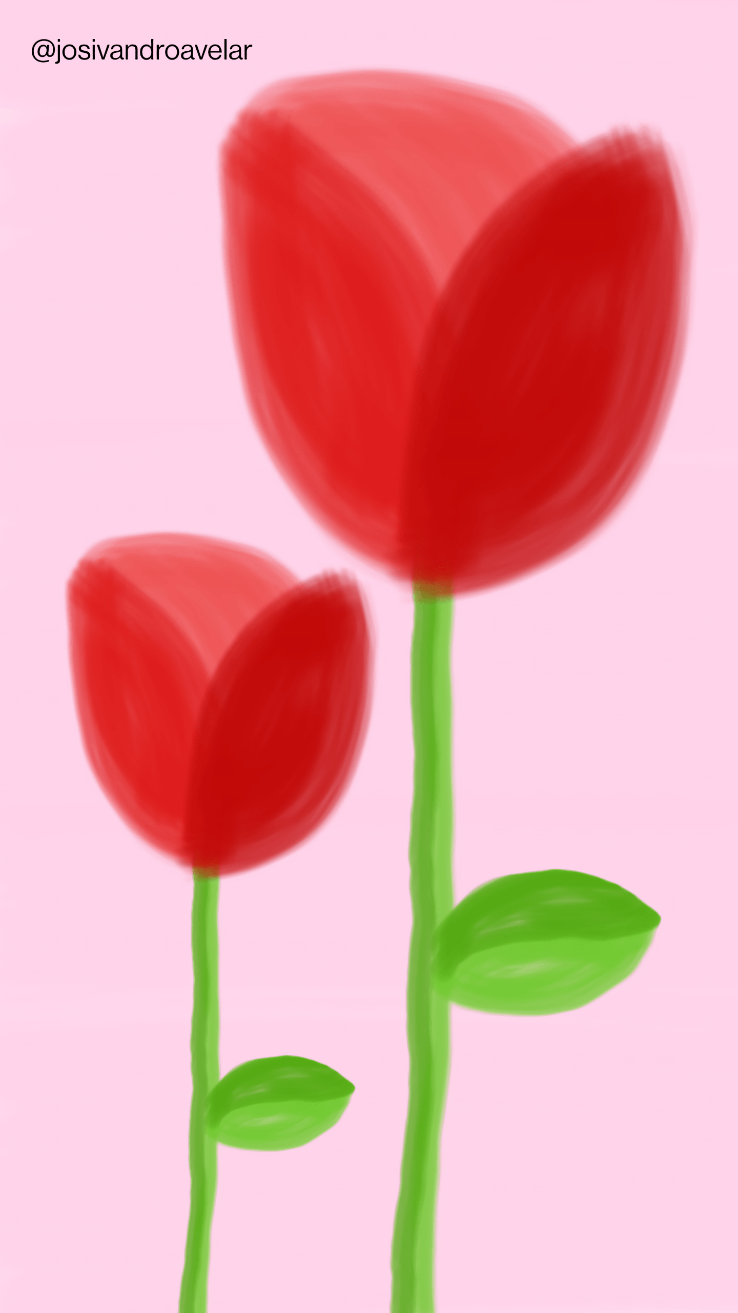 Artes digitais: rosas sobre rosa 1 Desenho de duas rosas sobre fundo rosa. Daí o nome "rosas sobre rosa".