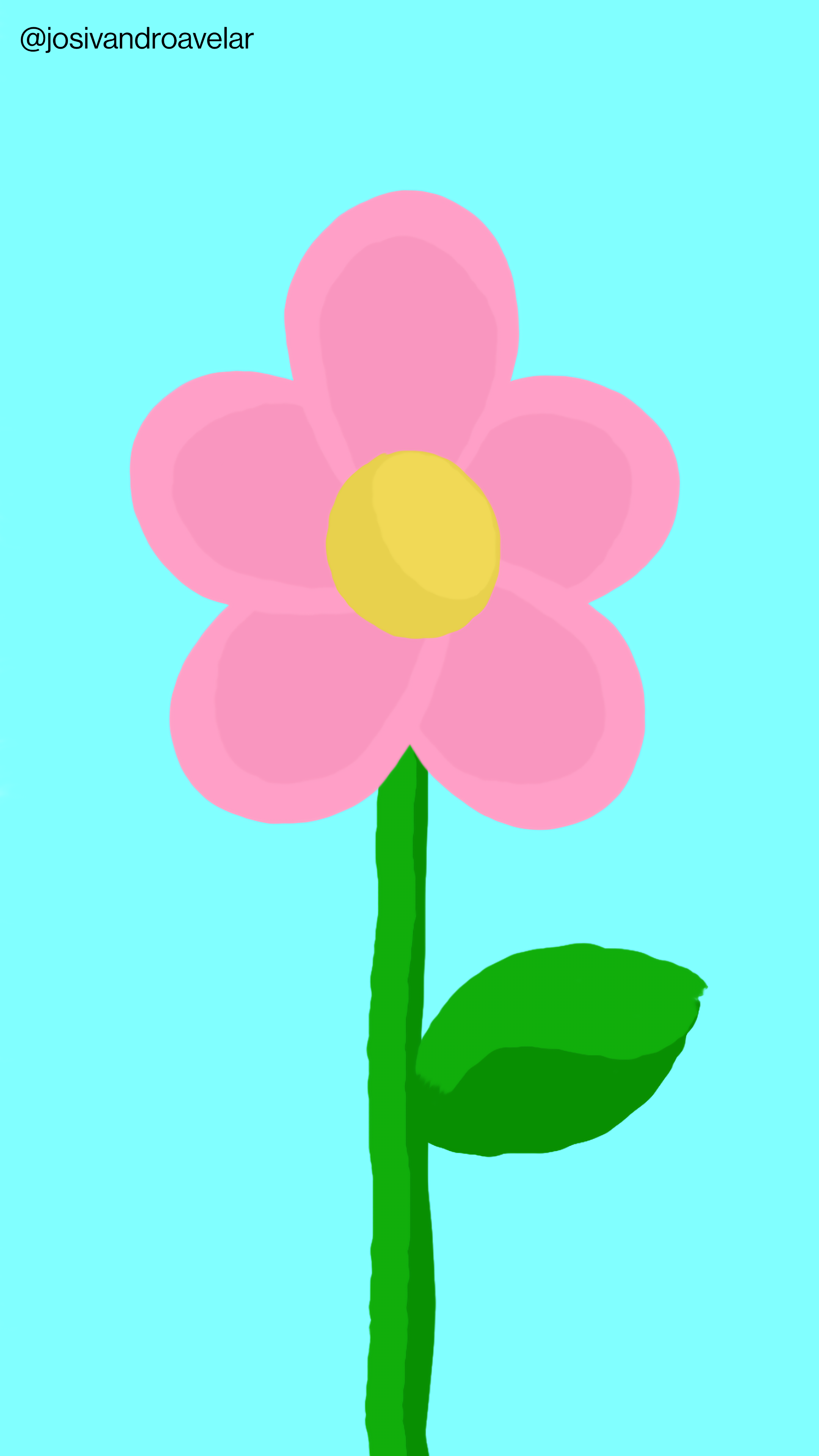 Artes digitais: tom de uma flor 1 O tom de uma flor cor de rosa sobre fundo azul.