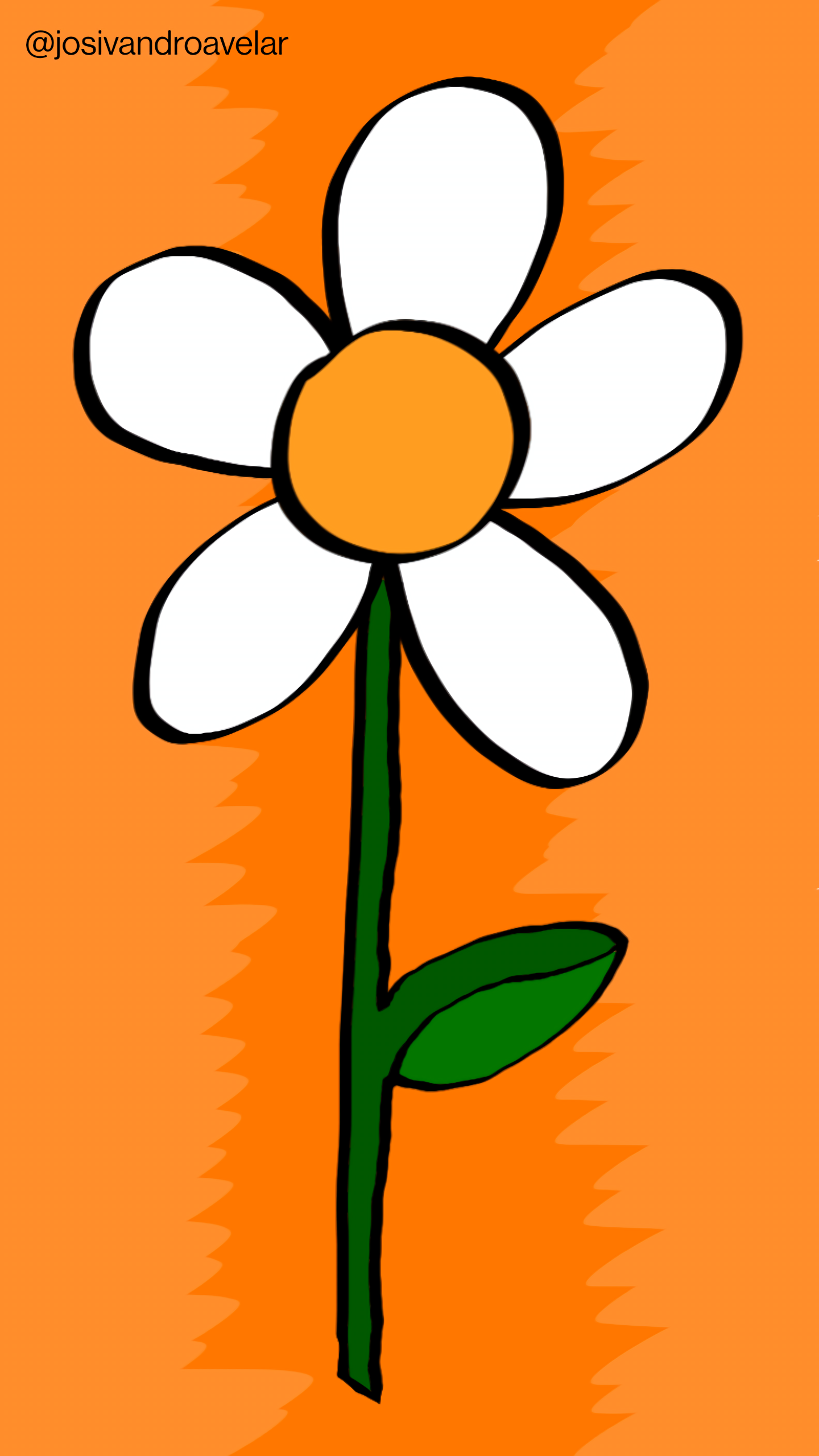 Artes digitais: a flor da semana 1 A flor da semana tem pétalas brancas, talo verde com uma folha e está sobre fundo laranja.