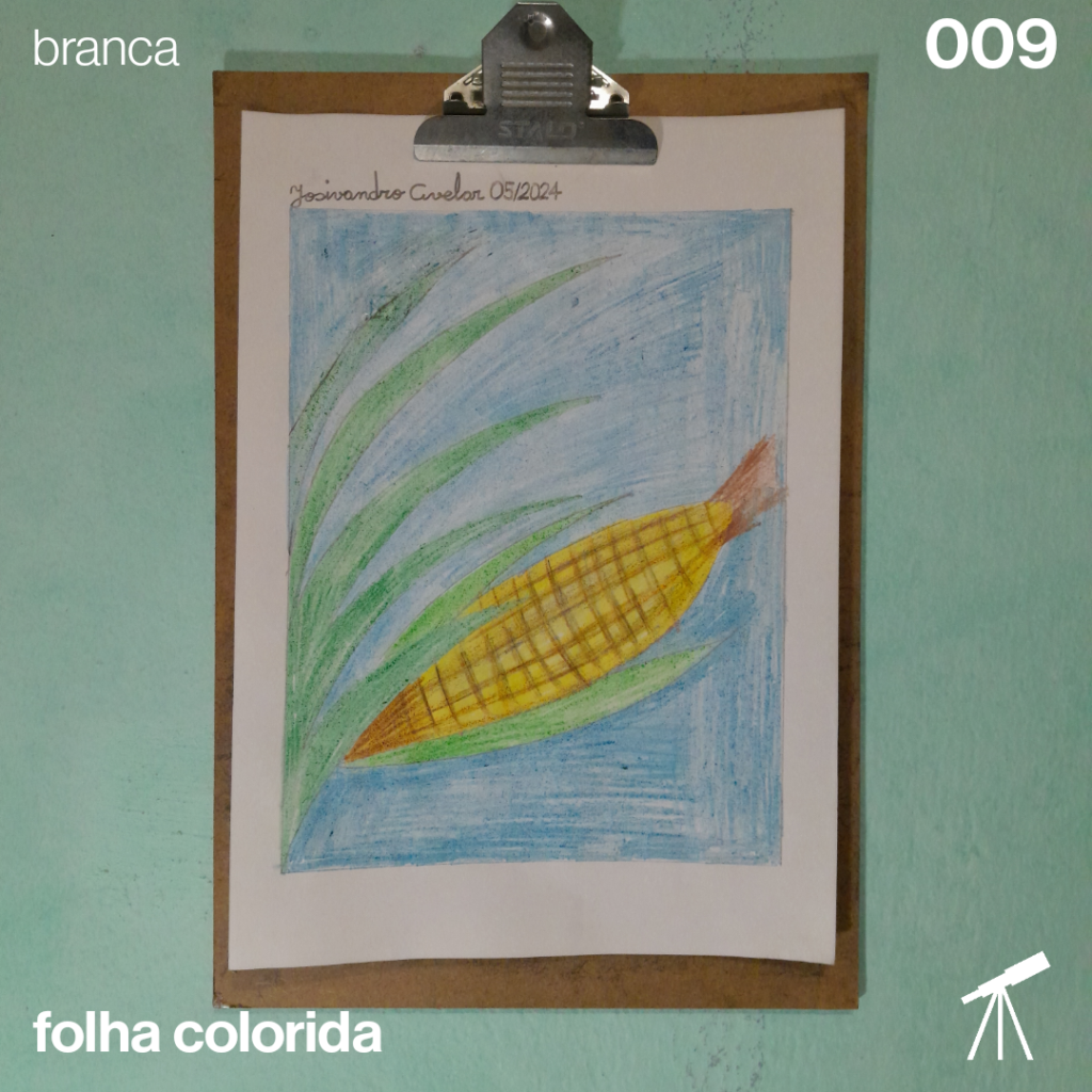 #FolhaBranca 009 - Milho Verde 1 Desenho de uma espiga de milho verde ainda no pé.