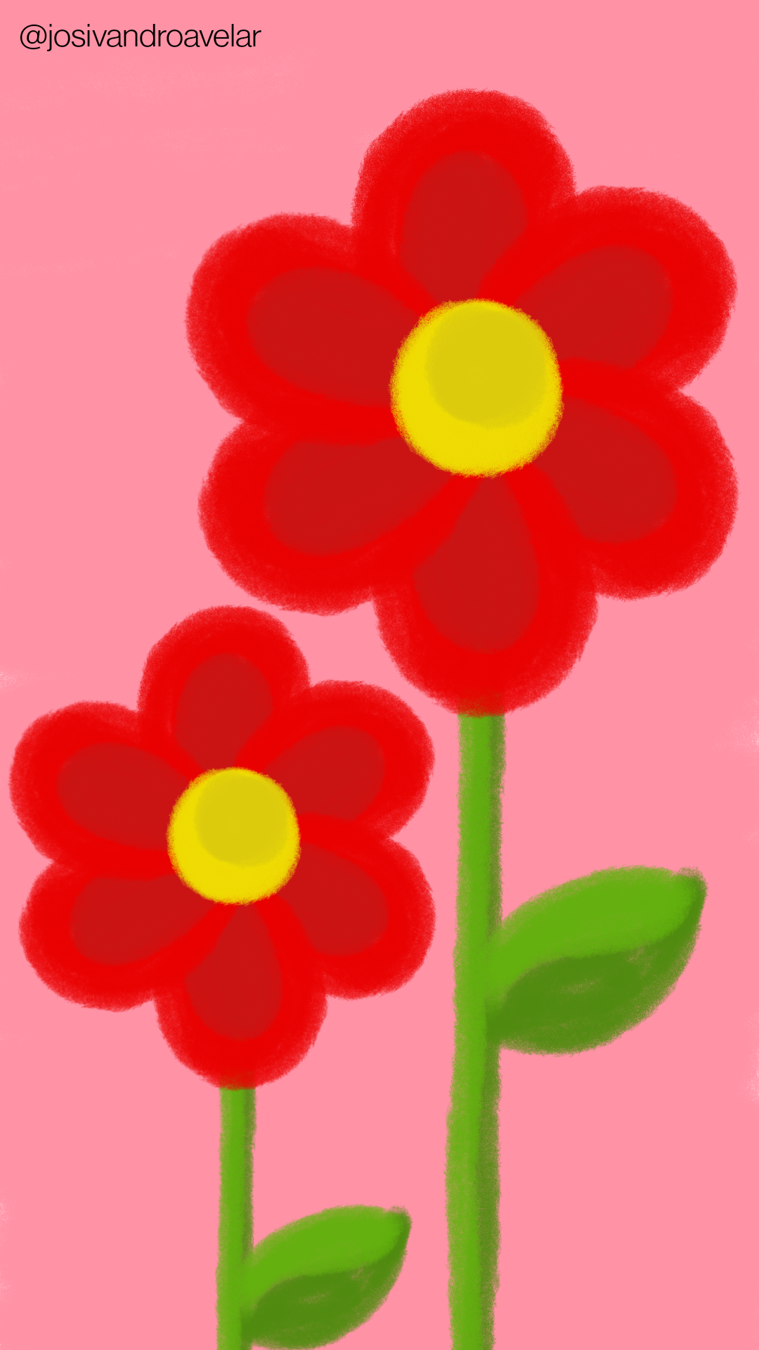 Desenho de duas flores com pétalas vermelhas sobre fundo rosa, representando o colorido das flores.