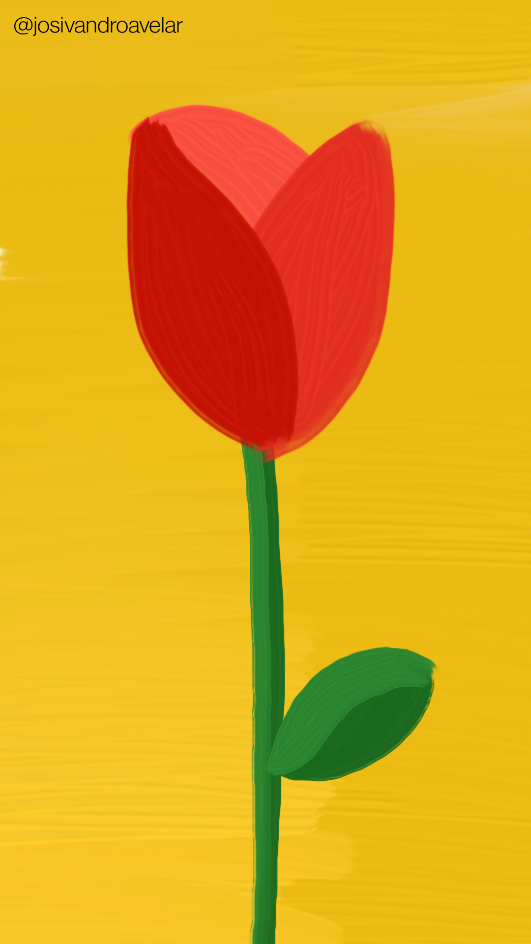 Artes digitais: detalhe de uma rosa 1 Detalhe de uma rosa vermelha sobre um fundo em um tom de amarelo bem marcante.