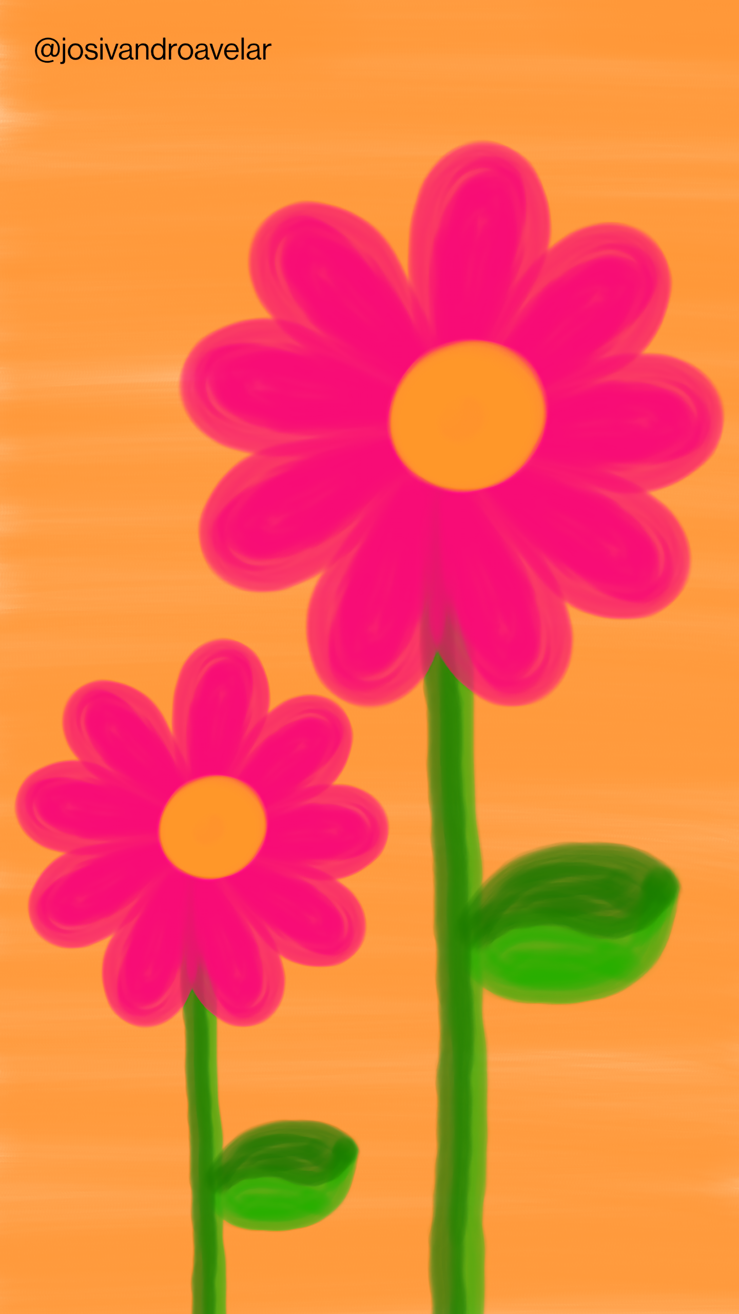 Artes digitais: flores de pétalas 1 Flores de pétalas em tons de magenta, sobre fundo laranja.