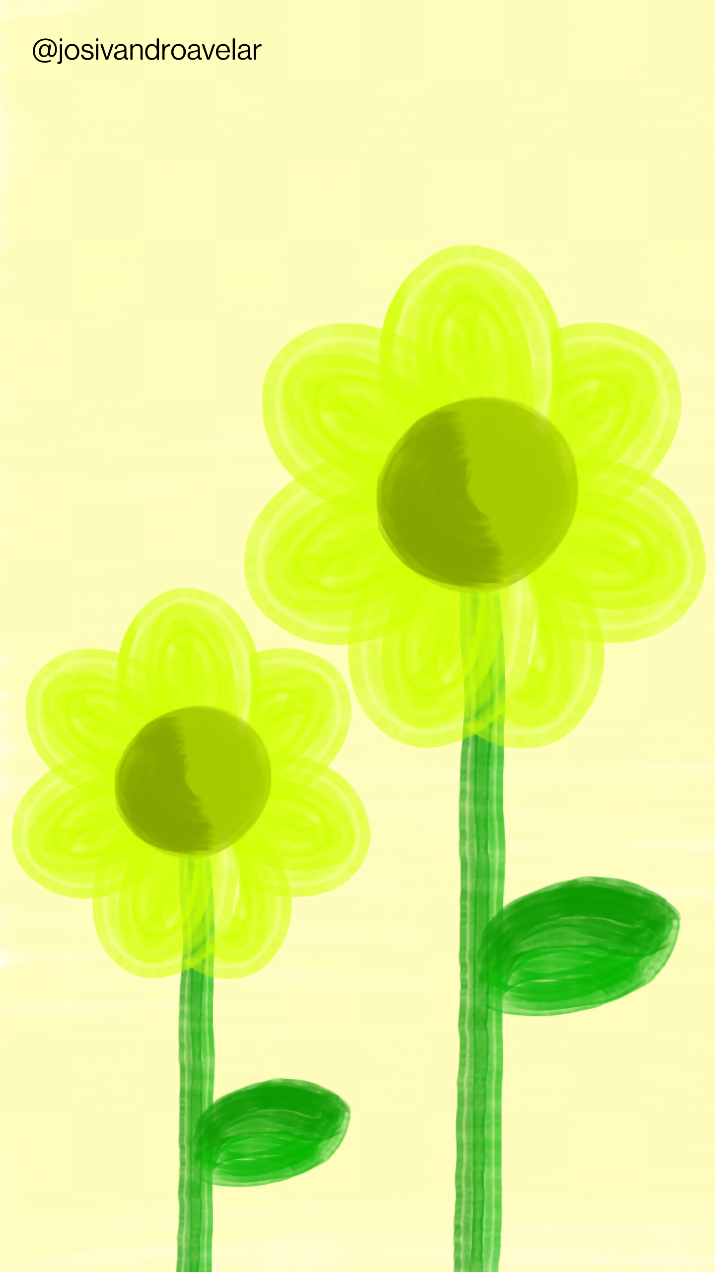 Bora desenhar? #053 1 Duas flores amarelas sobre fundo bege. O contraste das cores torna o desenho visível aos olhos.